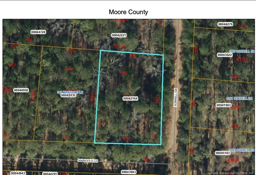 Photo 6 - 355 Marigold Lane, Vass, NC 28394
