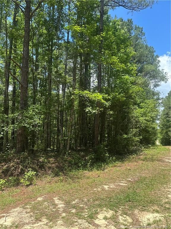 Photo 7 - 355 Marigold Lane, Vass, NC 28394