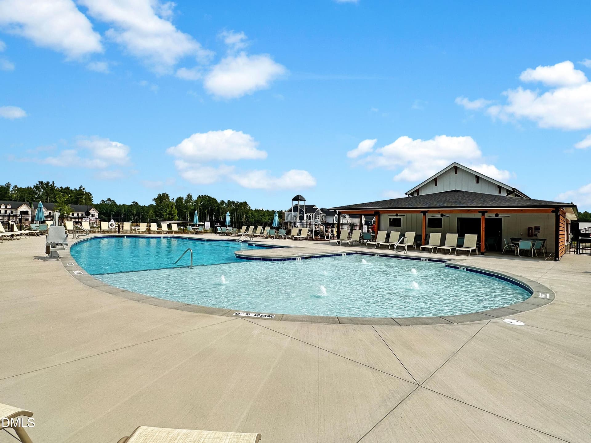 15 Perch Pool - 829 Lunar Light Drive, Wendell, NC 27591