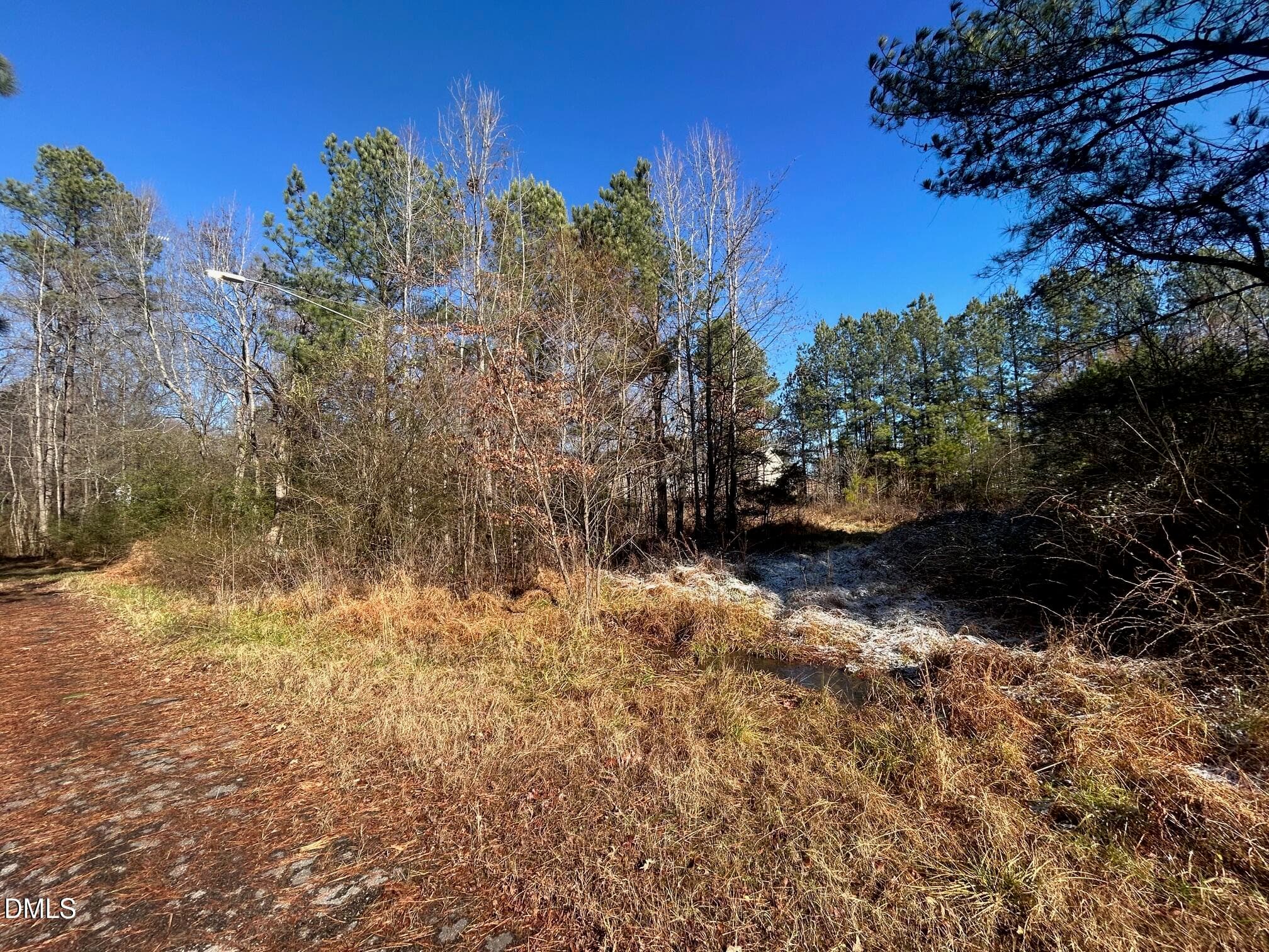 IMG_3929 - Lot 16 Dove Road, Oxford, NC 27565
