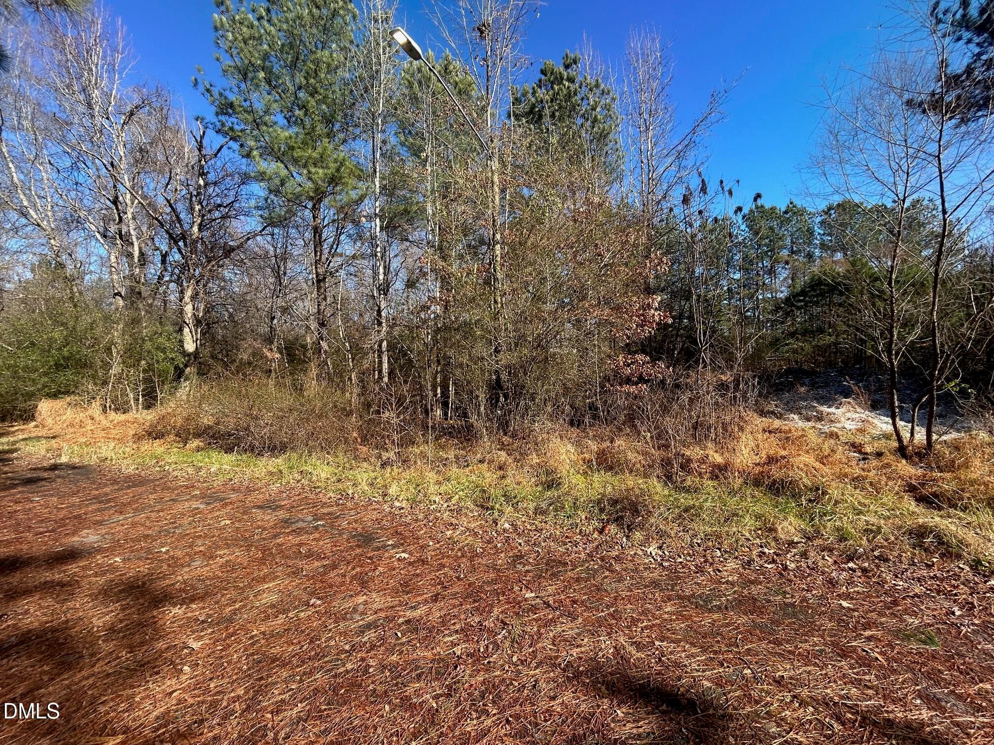 IMG_3932 - Lot 16 Dove Road, Oxford, NC 27565