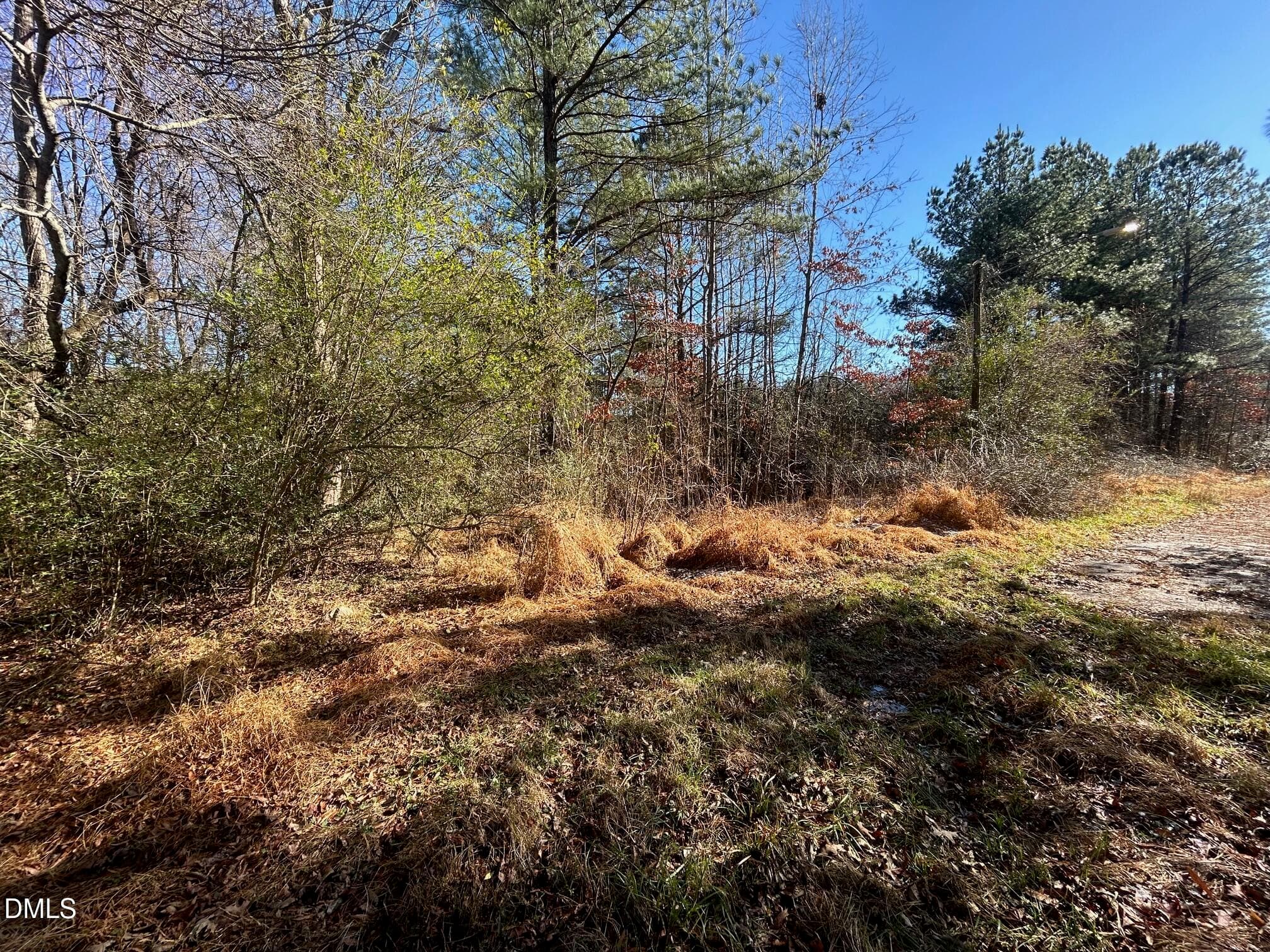 IMG_3936 - Lot 16 Dove Road, Oxford, NC 27565
