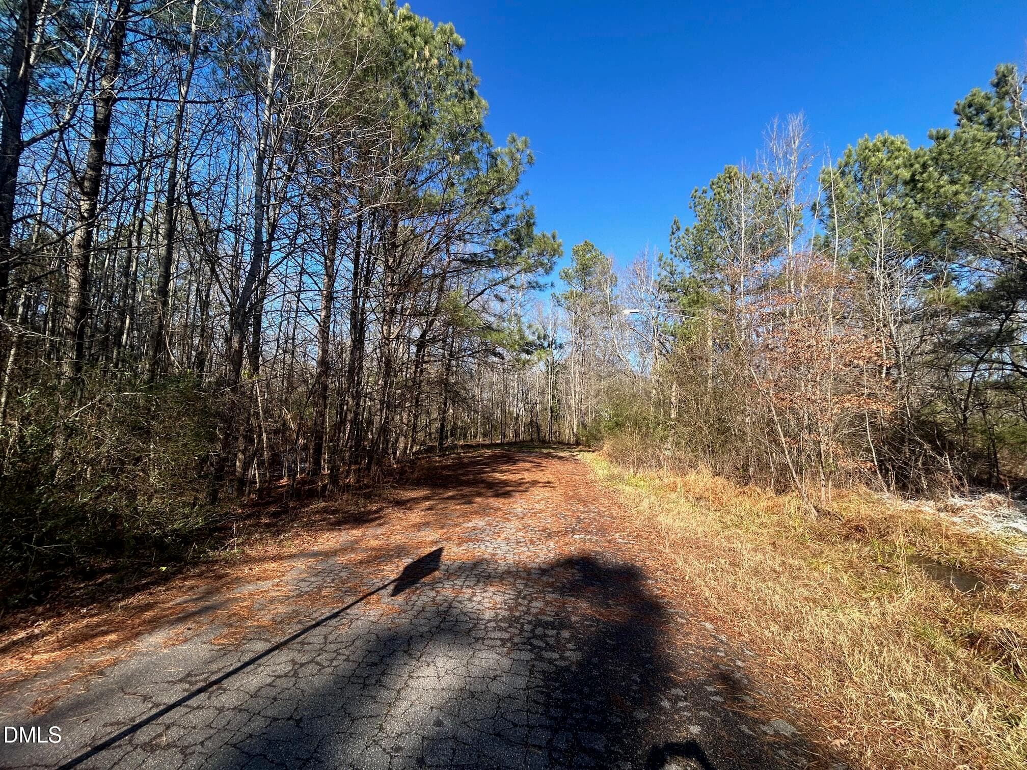 IMG_3937 - Lot 16 Dove Road, Oxford, NC 27565