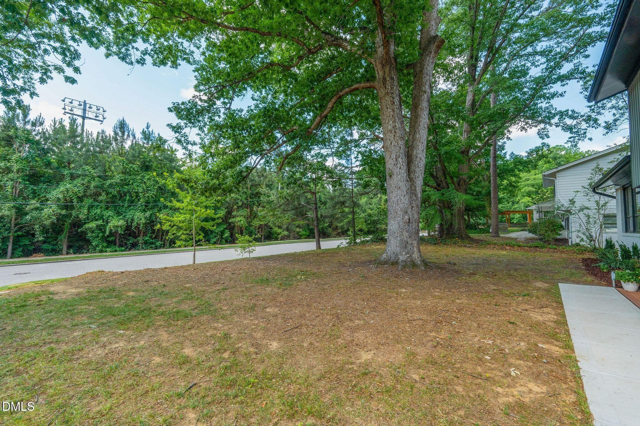 19_DSC05939 - 2309 Bertie Drive, Raleigh, NC 27610, Raleigh