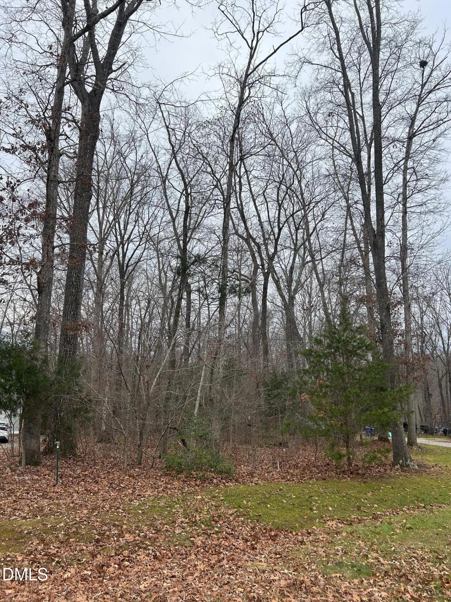 IMG_3489 - 00 Weaver Ridge Road, Rougemont, NC 27572