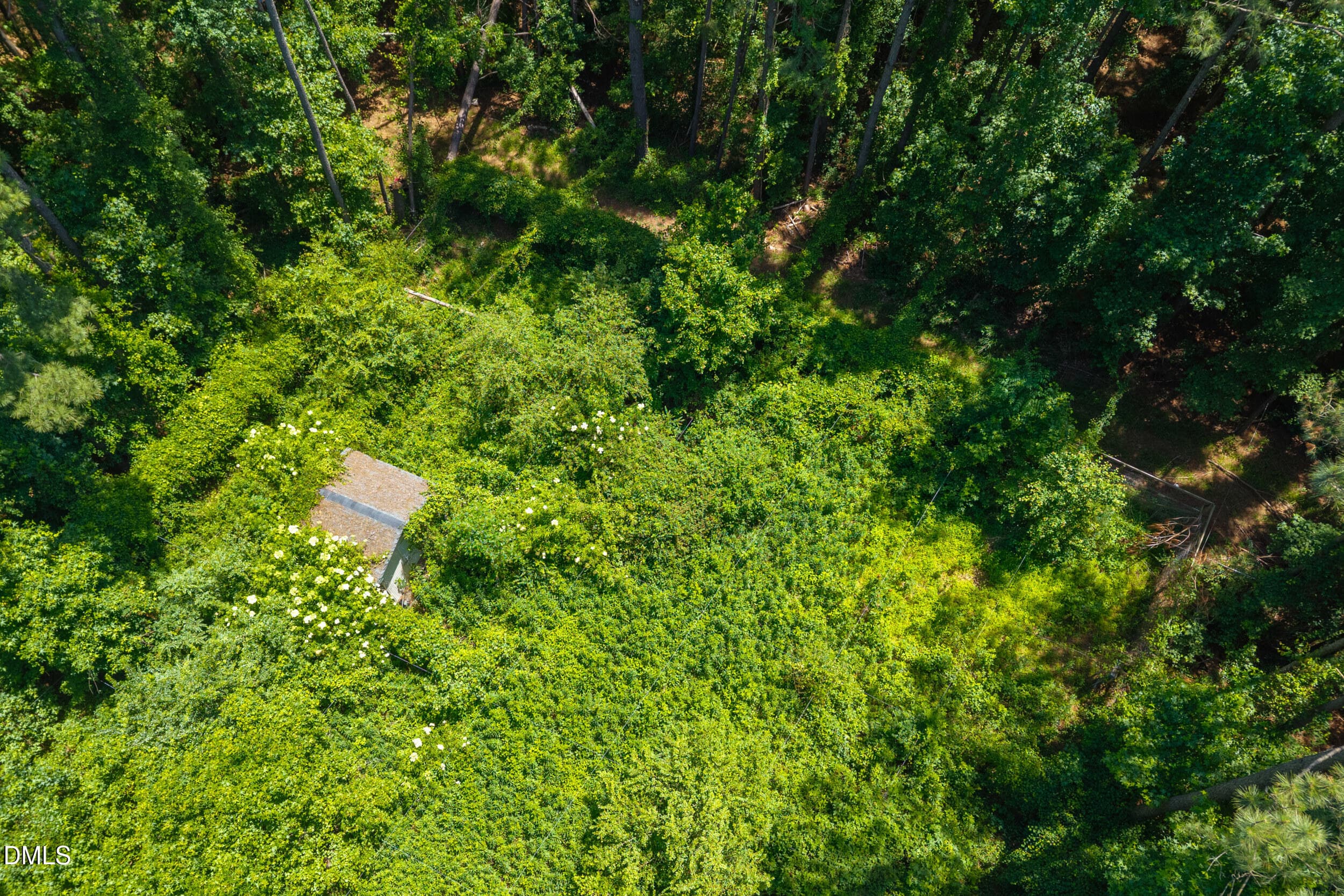 Aerial View - 674 State Rd 1415, Greenville, NC 27834