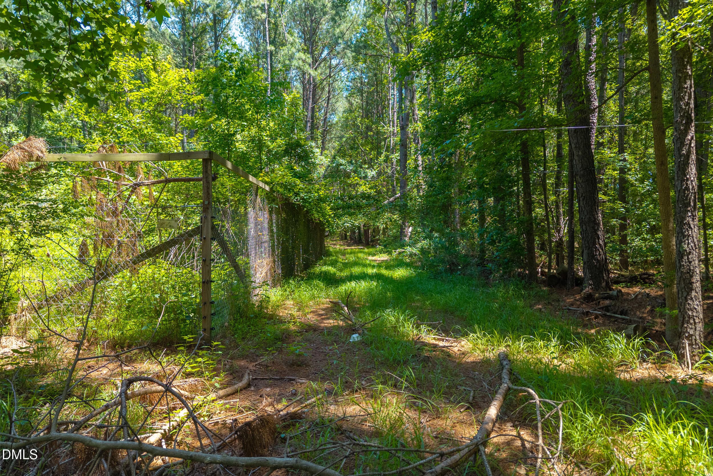 Wooded Lot - 674 State Rd 1415, Greenville, NC 27834