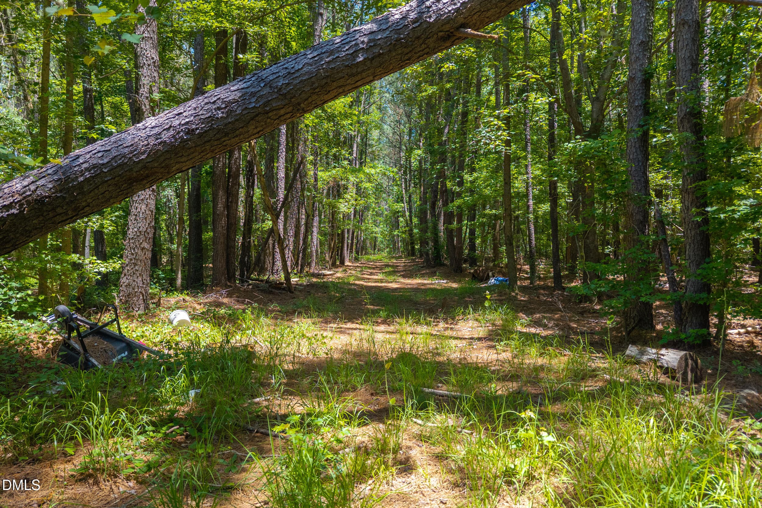 Wooded Lot - 674 State Rd 1415, Greenville, NC 27834