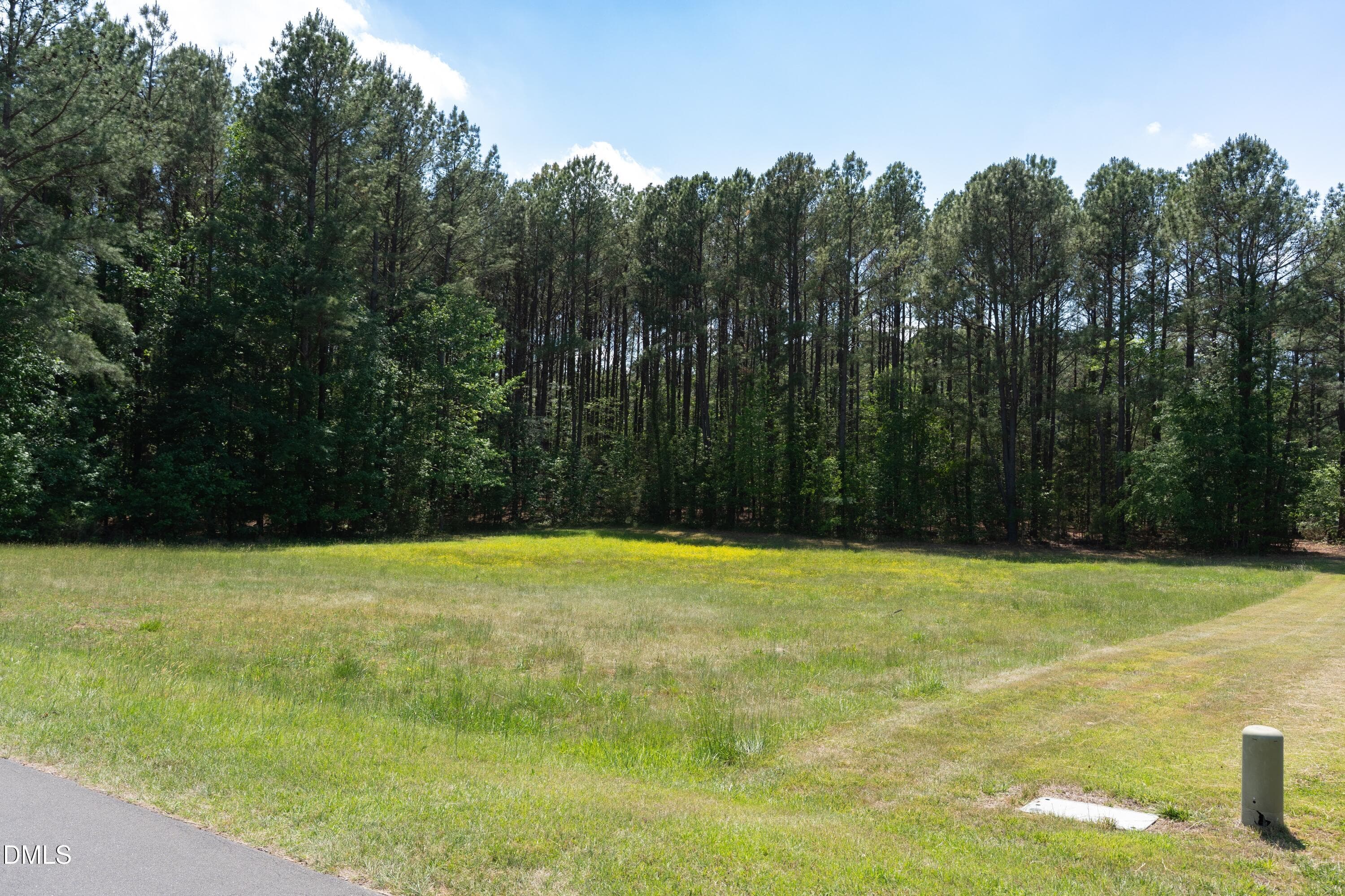 DSC00093 - 9807 Straightaway Lane, Bahama, NC 27503, Bahama