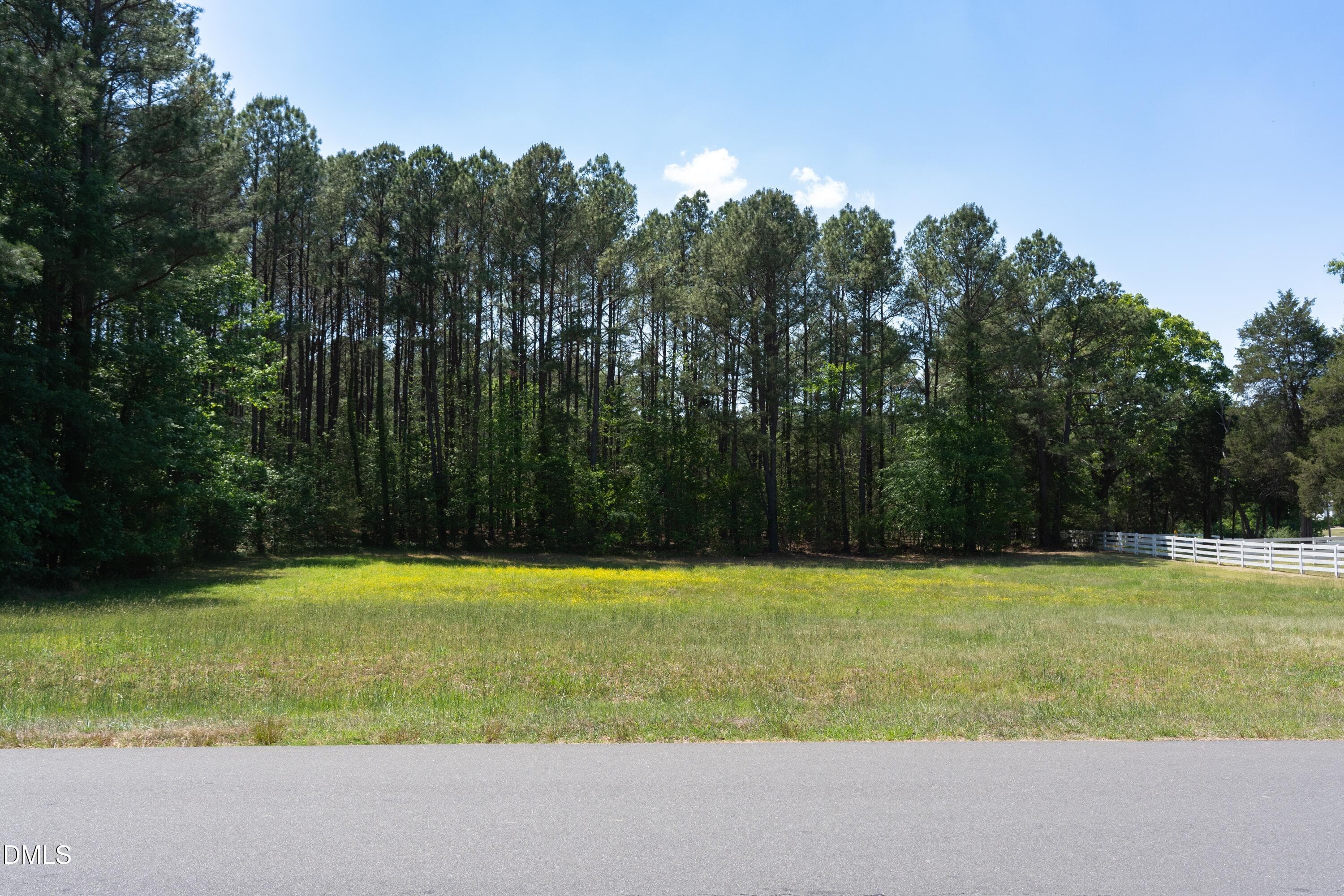 DSC00091 - 9807 Straightaway Lane, Bahama, NC 27503, Bahama