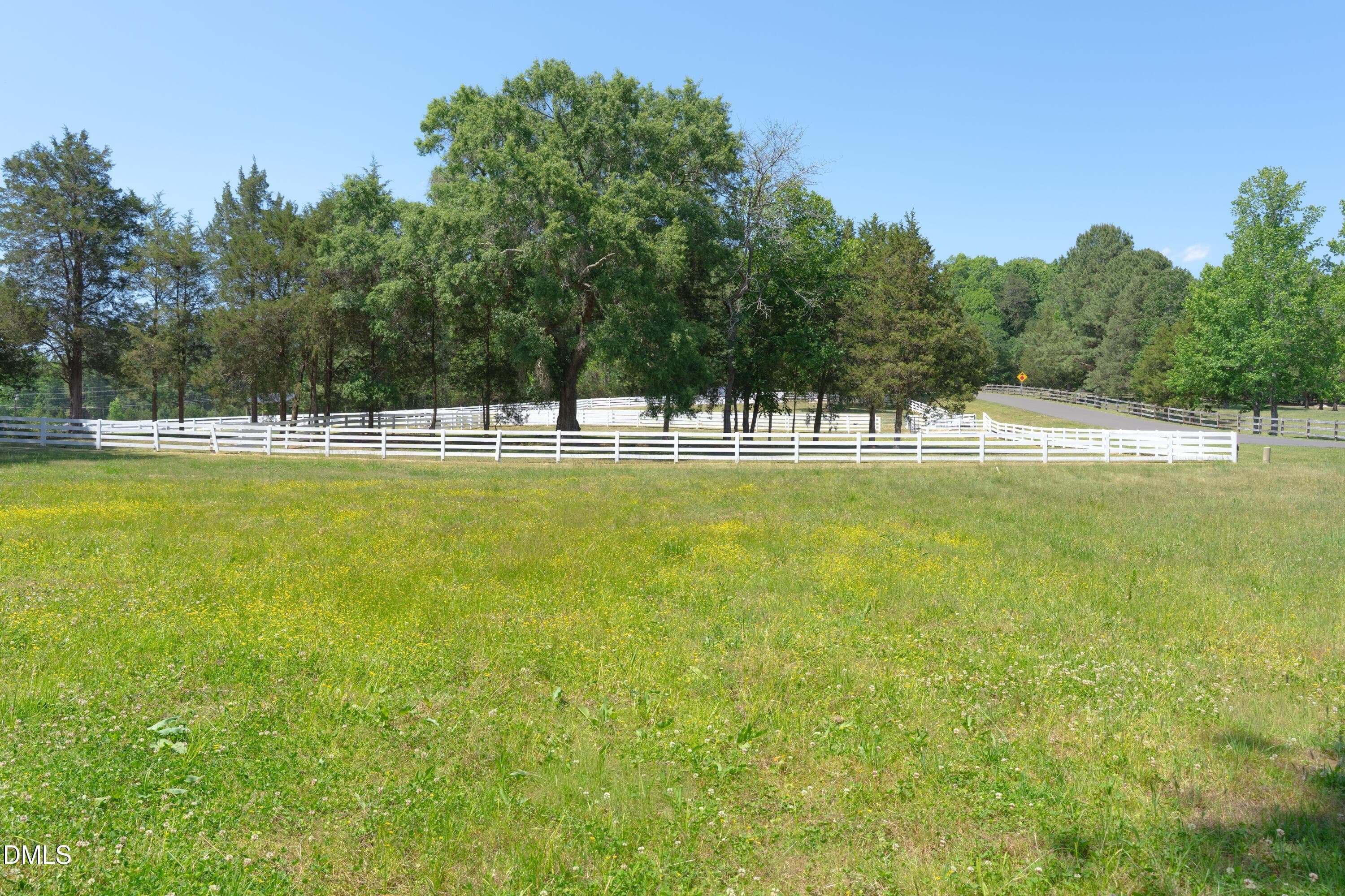DSC00103-2 - 9807 Straightaway Lane, Bahama, NC 27503, Bahama
