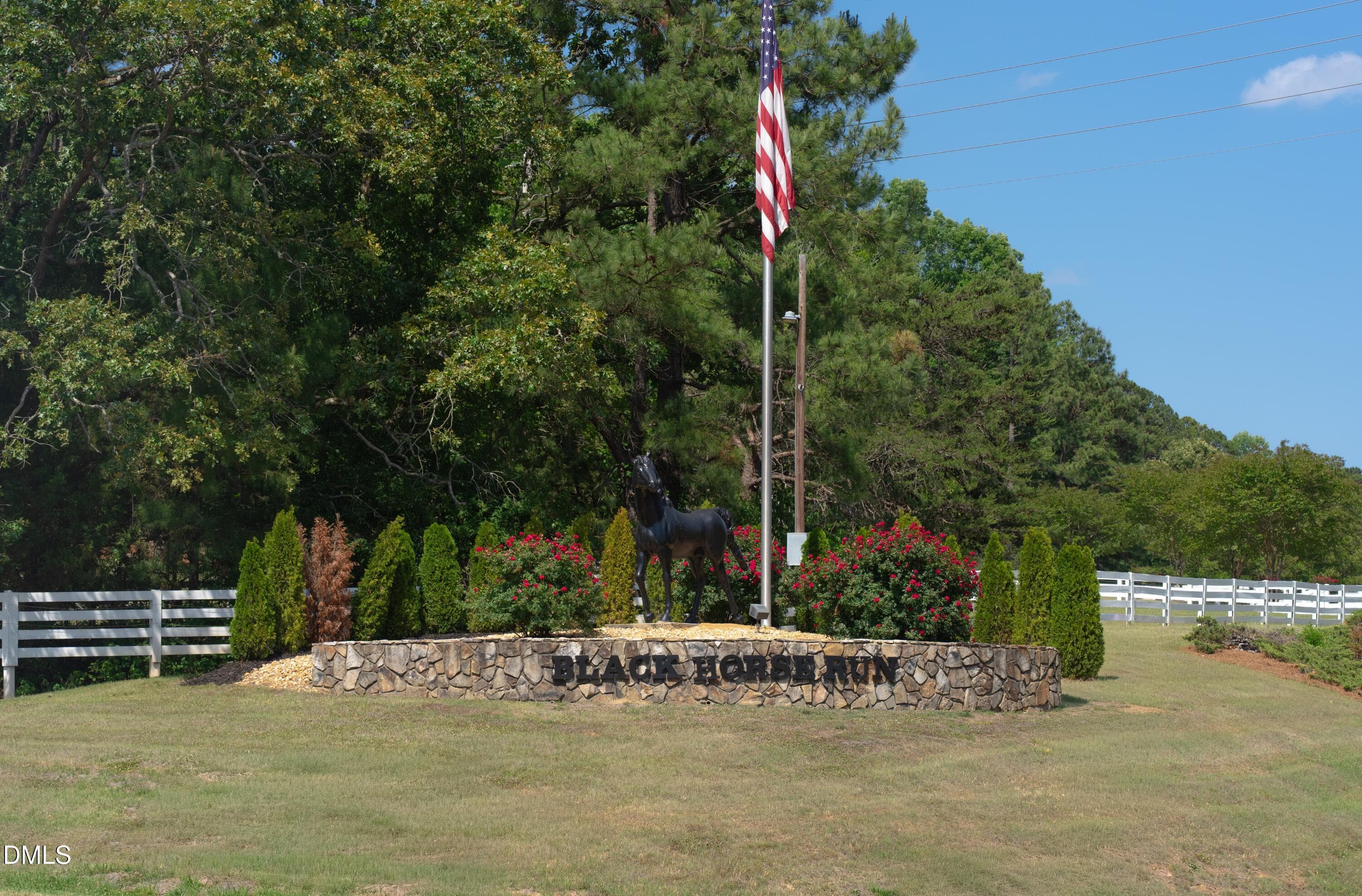 DSC00133 - 9807 Straightaway Lane, Bahama, NC 27503, Bahama