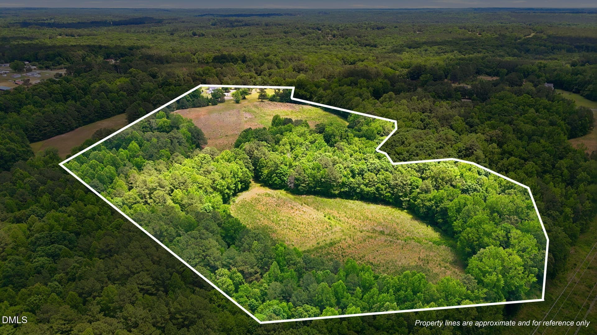 3-web-or-mls-DJI_20260603132451_0914_D-l - 0 Pope Road, Creedmoor, NC 27522