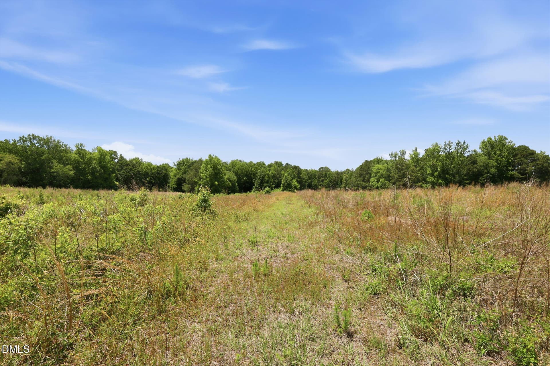 7-web-or-mls-IMG_3809 - 0 Pope Road, Creedmoor, NC 27522