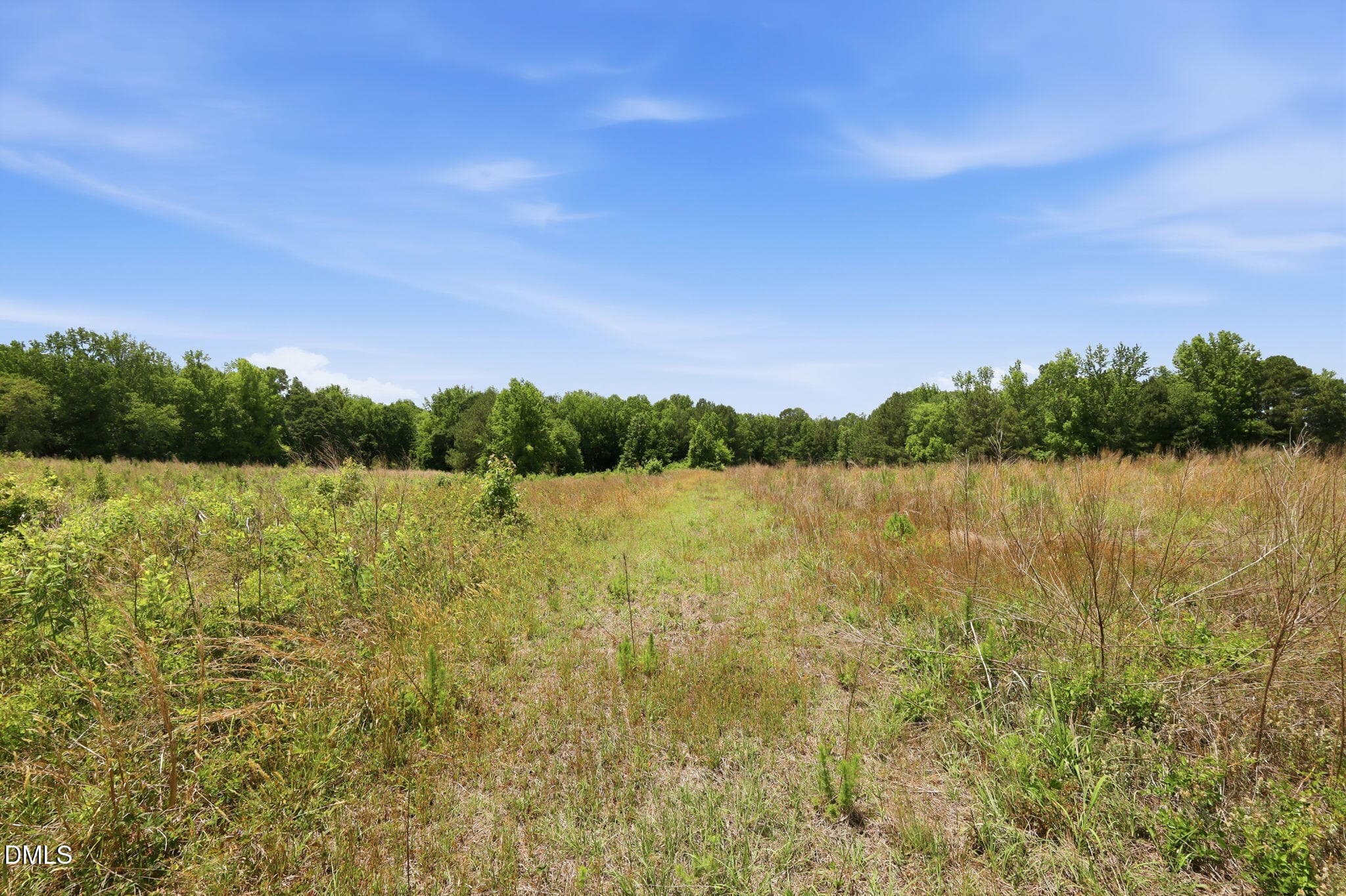 7-web-or-mls-IMG_3809 - 0 Pope Road, Creedmoor, NC 27522