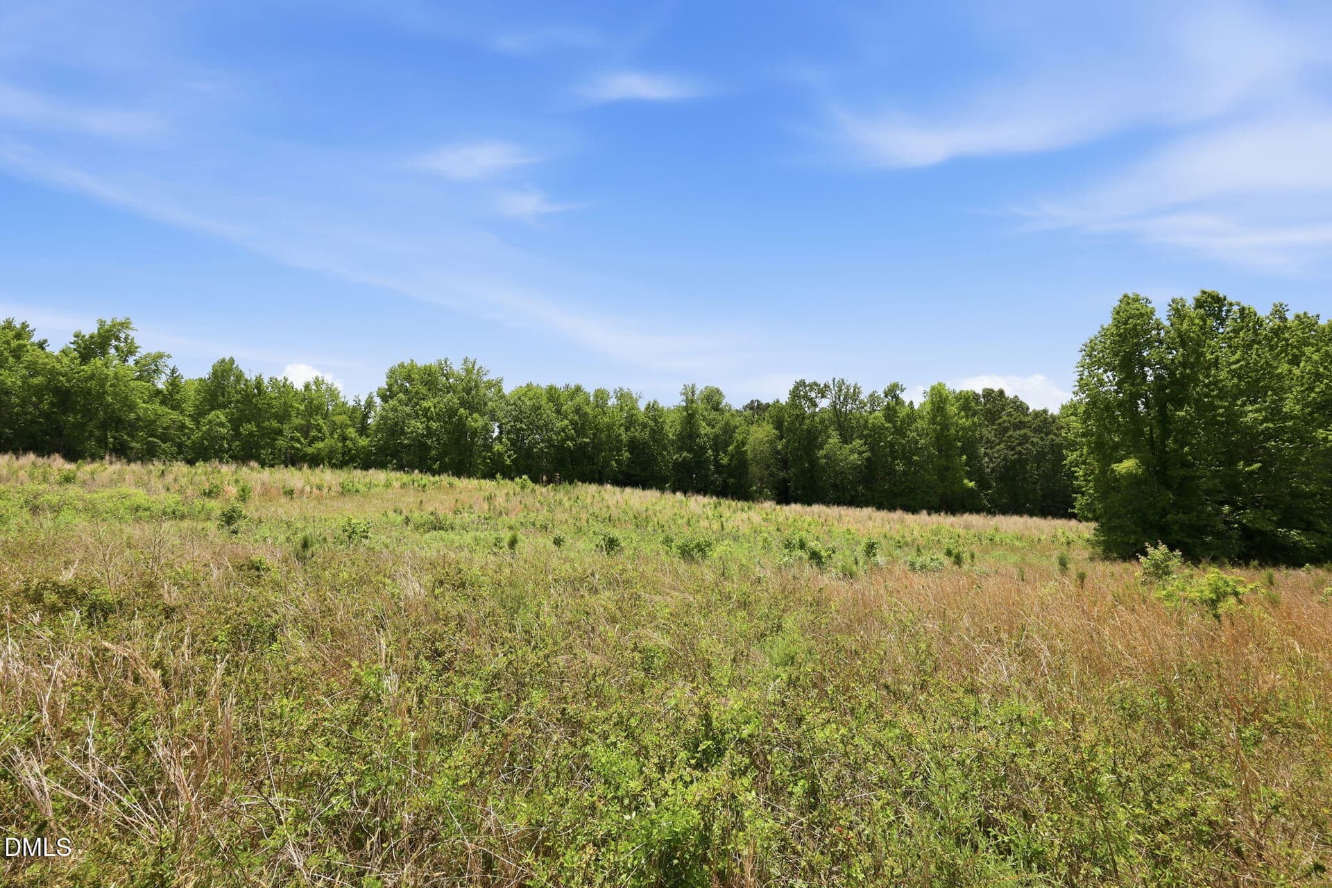 8-web-or-mls-IMG_3810 copy - 0 Pope Road, Creedmoor, NC 27522