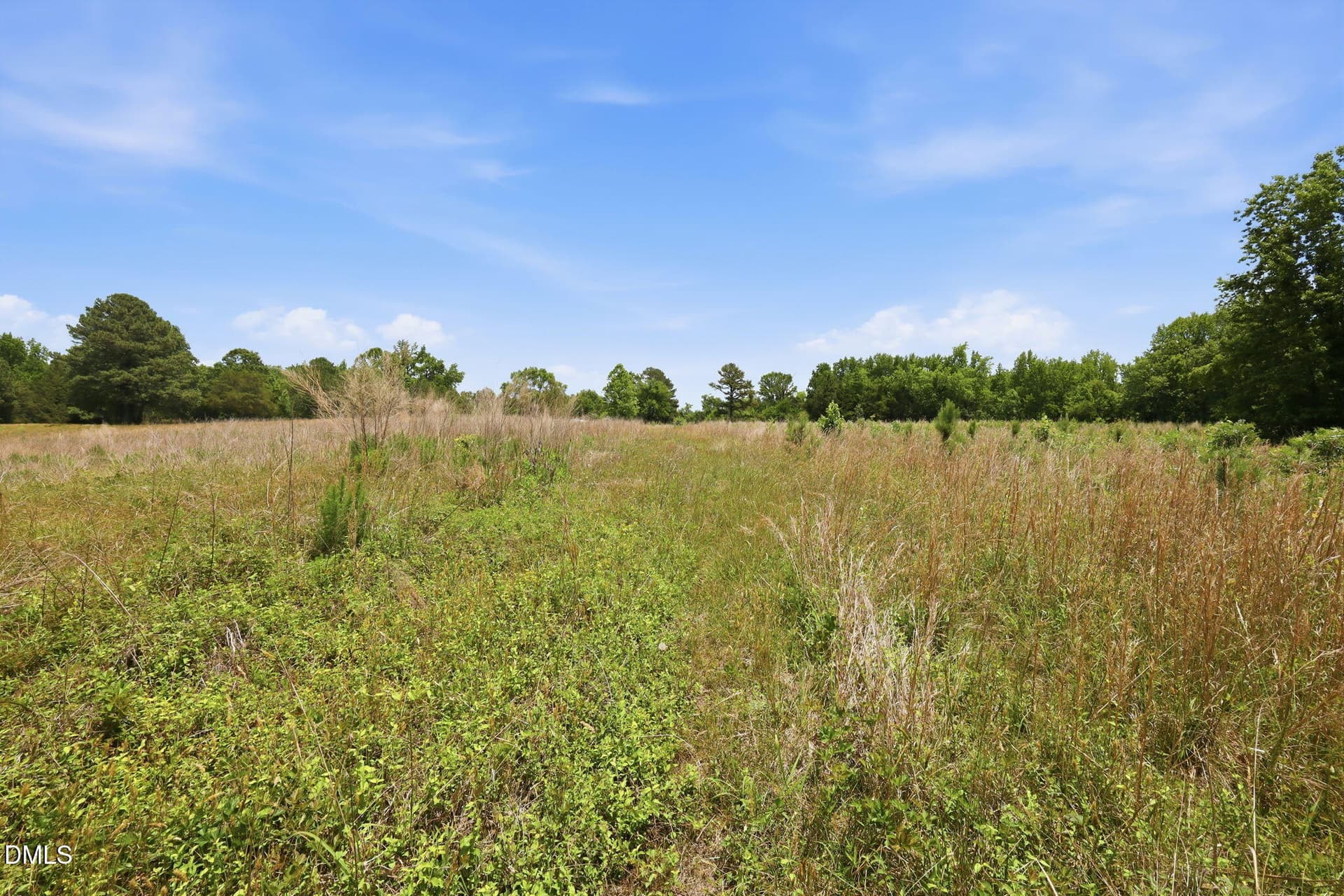 9-web-or-mls-IMG_3811 - 0 Pope Road, Creedmoor, NC 27522