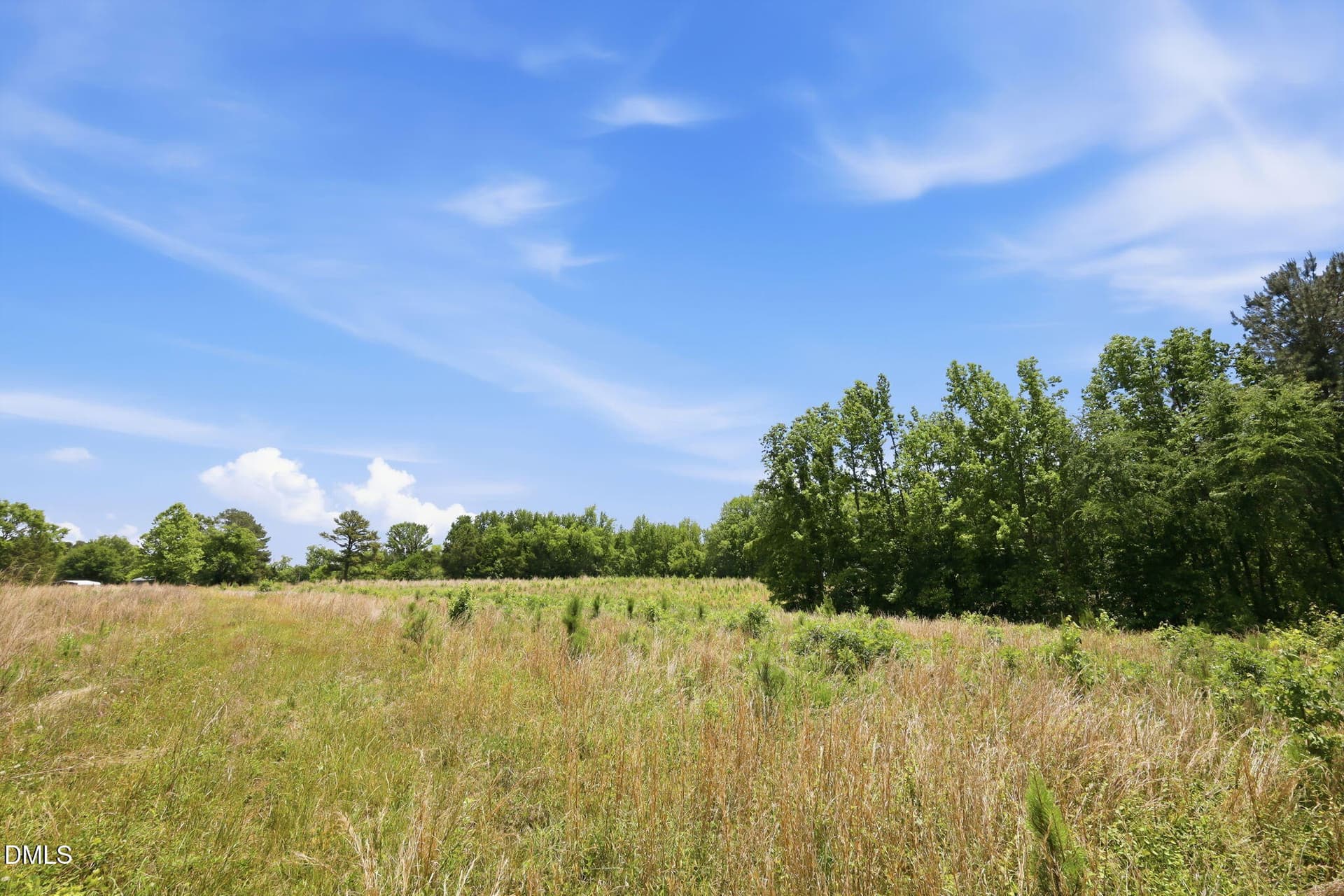 11-web-or-mls-IMG_3813 - 0 Pope Road, Creedmoor, NC 27522