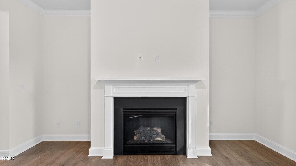 Great Room - 2356 Horton Park Drive, Apex, NC 27539, Apex
