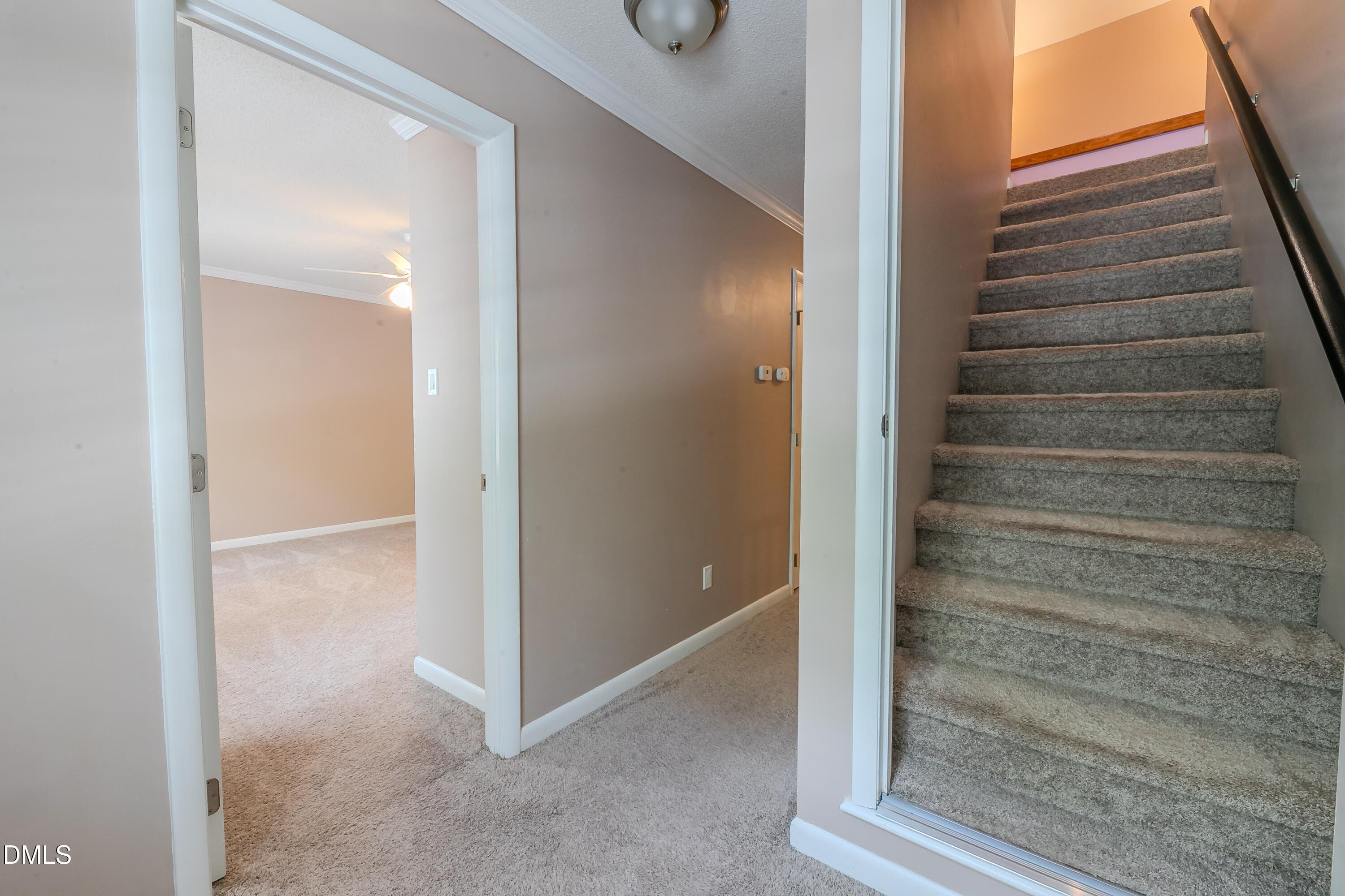 2E6A5319 - 8200 Mourning Dove Road, Raleigh, NC 27615, Raleigh