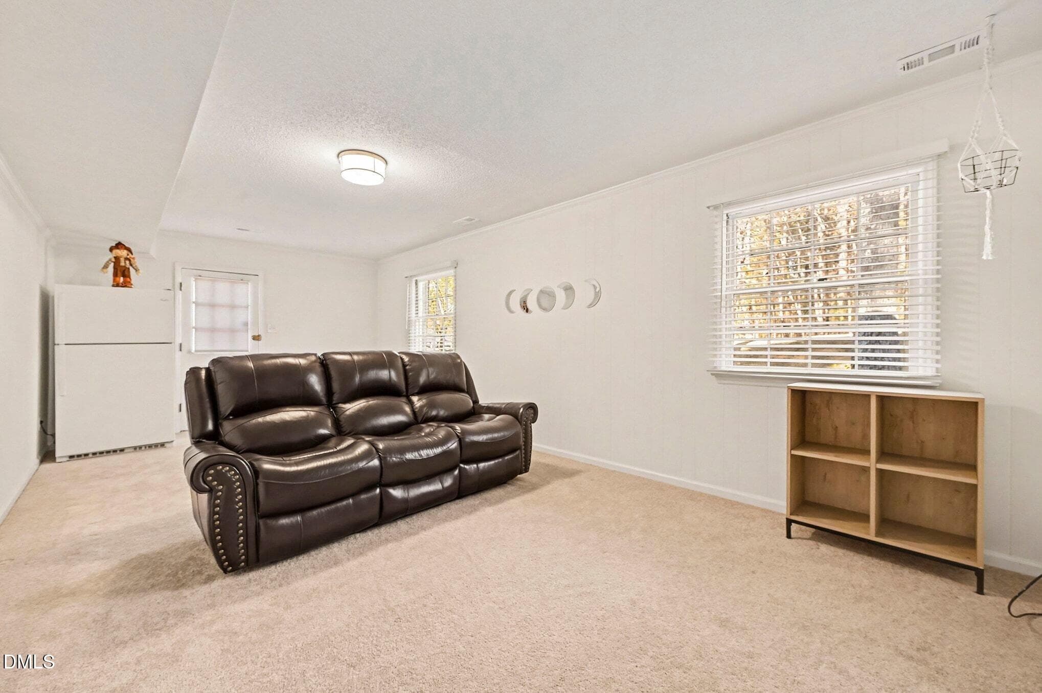 Lower Level Family Room/Den - 1920 White Plains Road, Chapel Hill, NC 27517, Chapel Hill