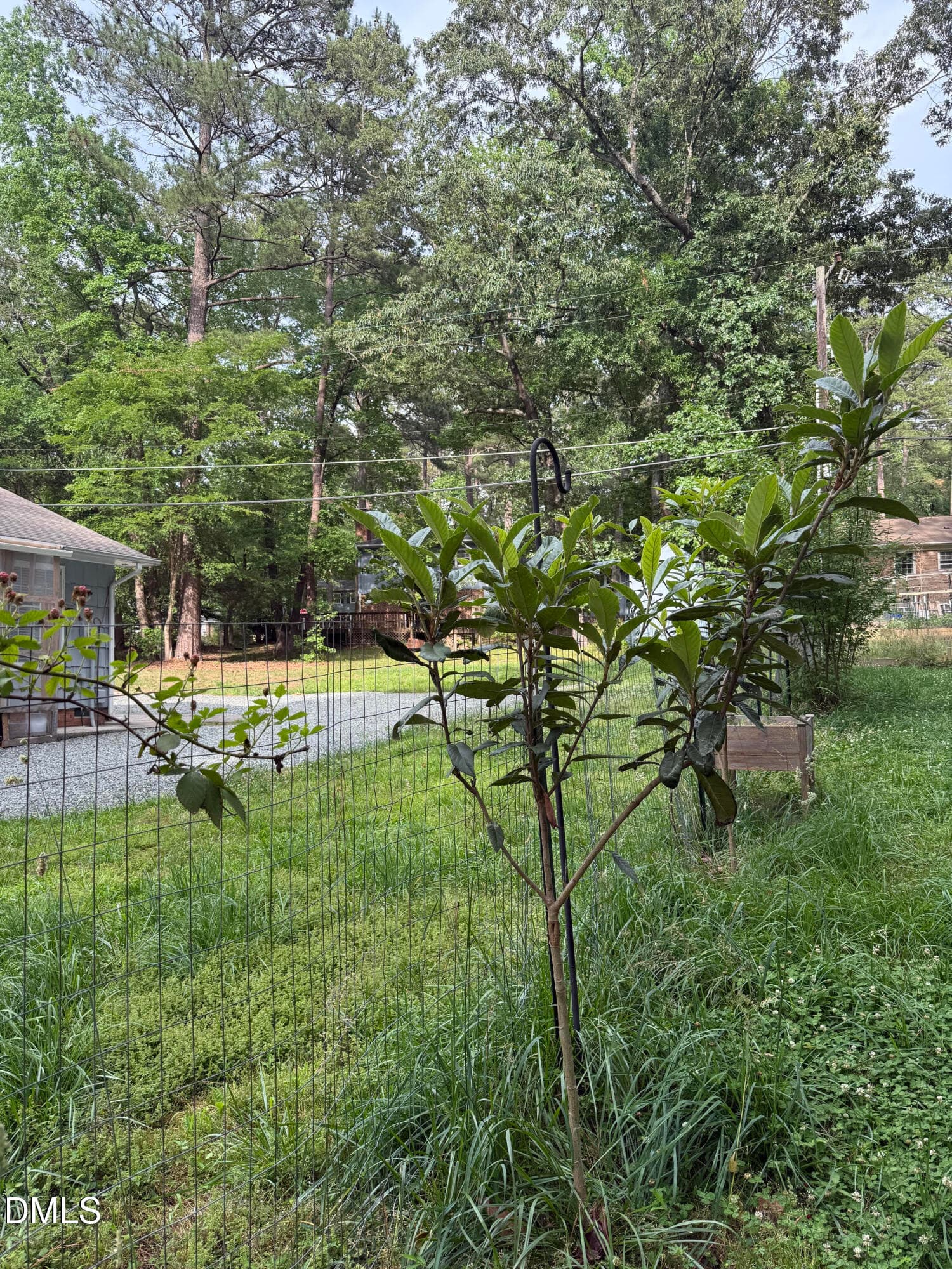 unnamed (19) - 1920 White Plains Road, Chapel Hill, NC 27517, Chapel Hill