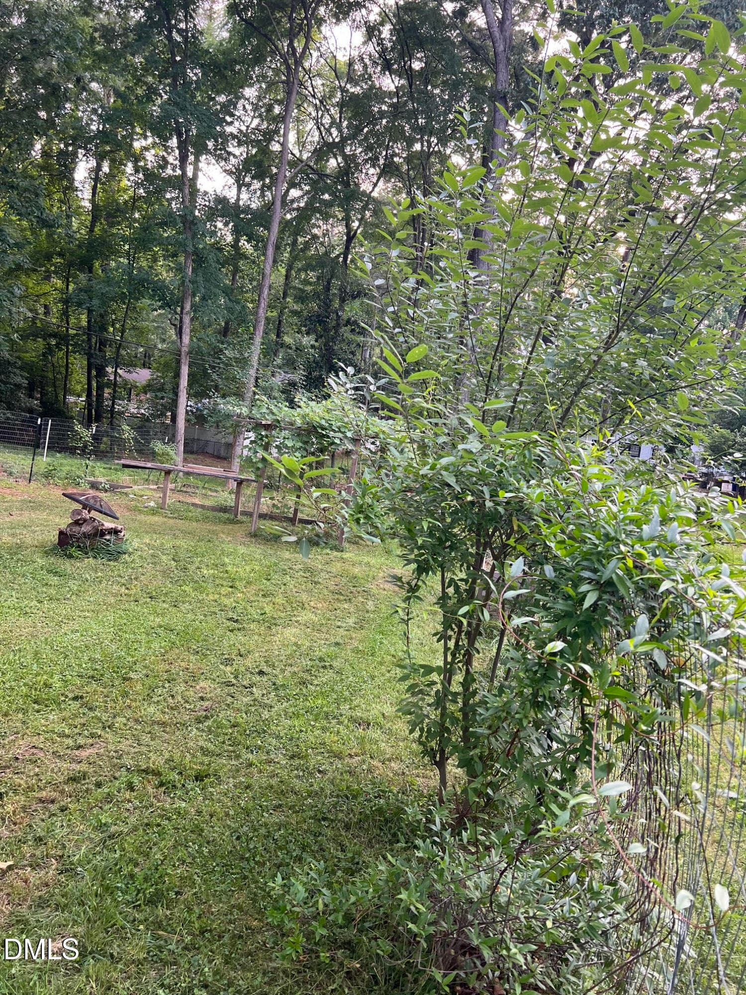 unnamed (23) - 1920 White Plains Road, Chapel Hill, NC 27517, Chapel Hill
