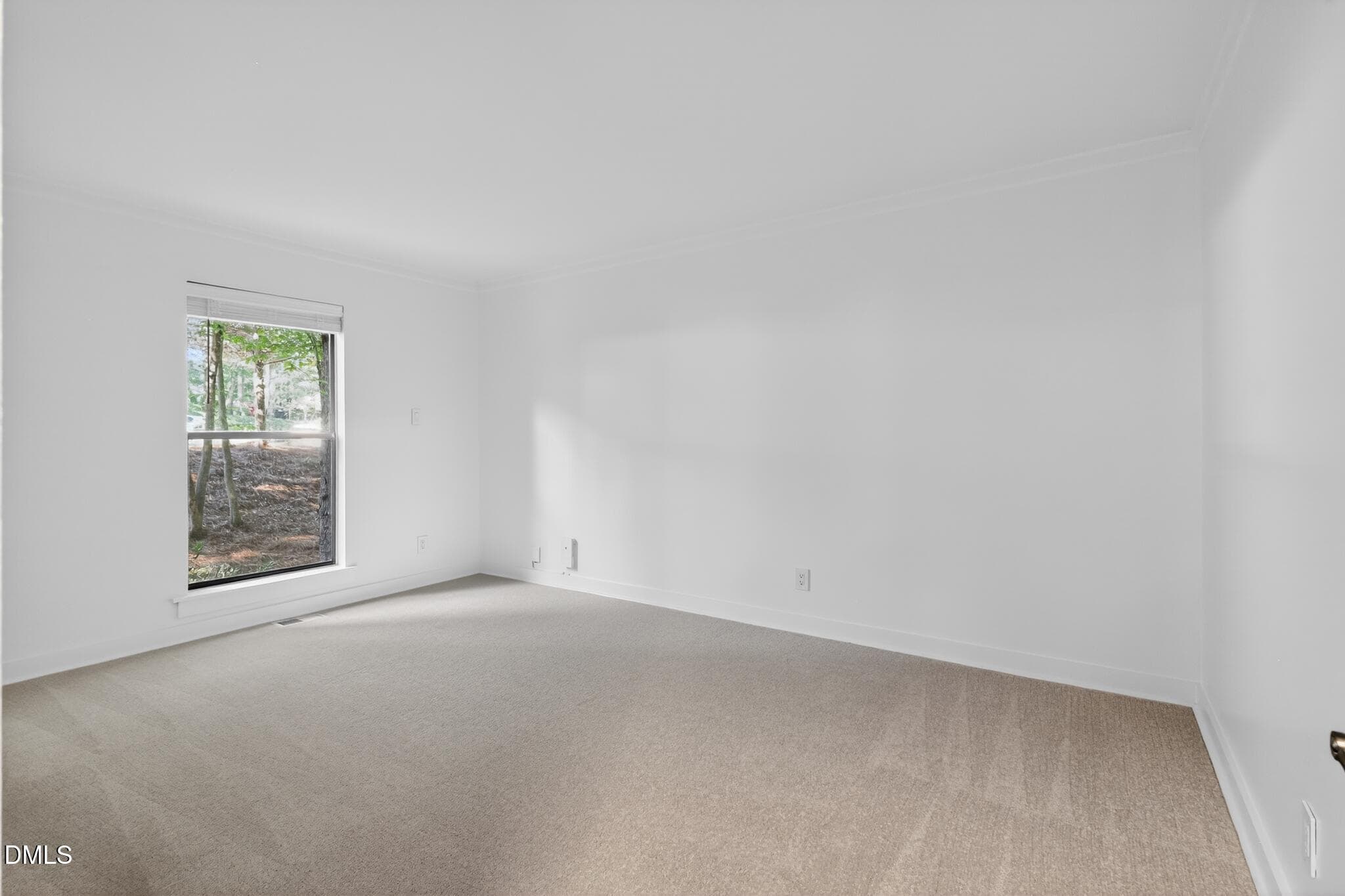Secondary Bedroom - 4214 Trotter Ridge Road, Durham, NC 27707, Durham