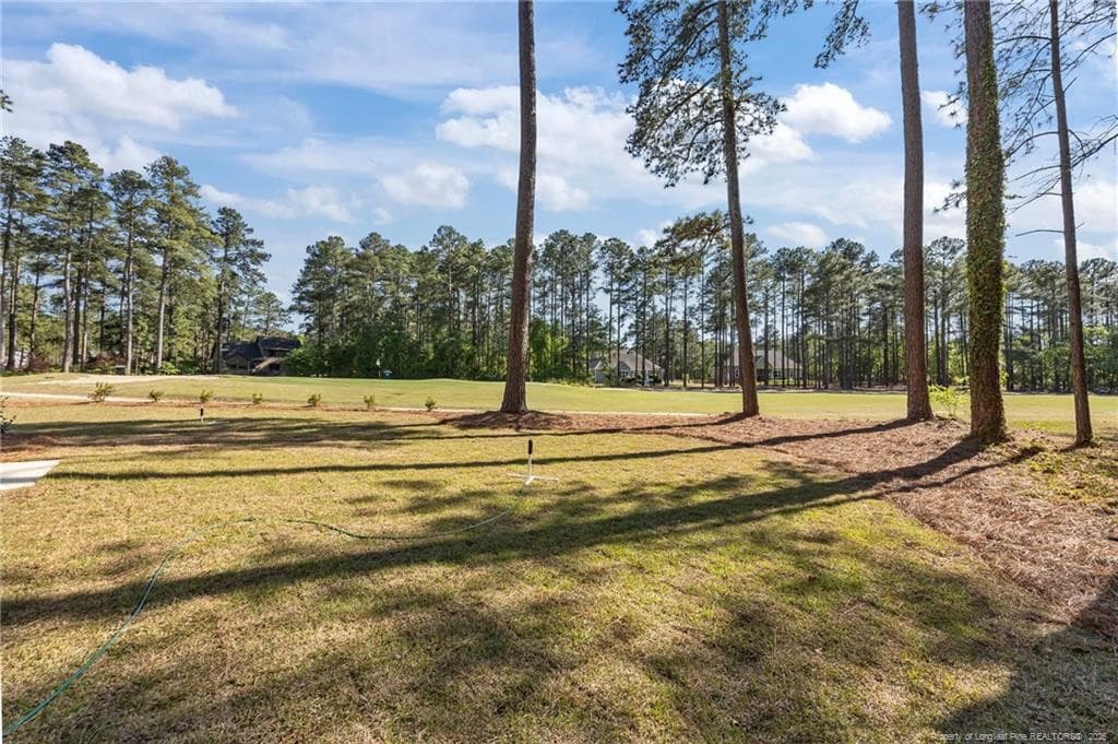 Photo 40 - 28880 Deercroft Drive, Wagram, NC 28396