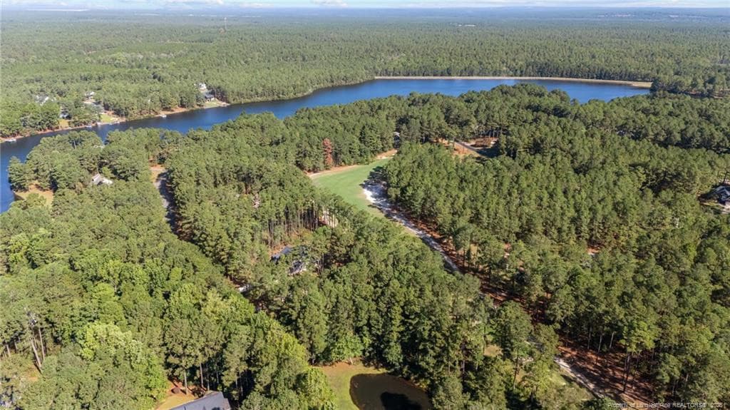 Photo 45 - 28880 Deercroft Drive, Wagram, NC 28396