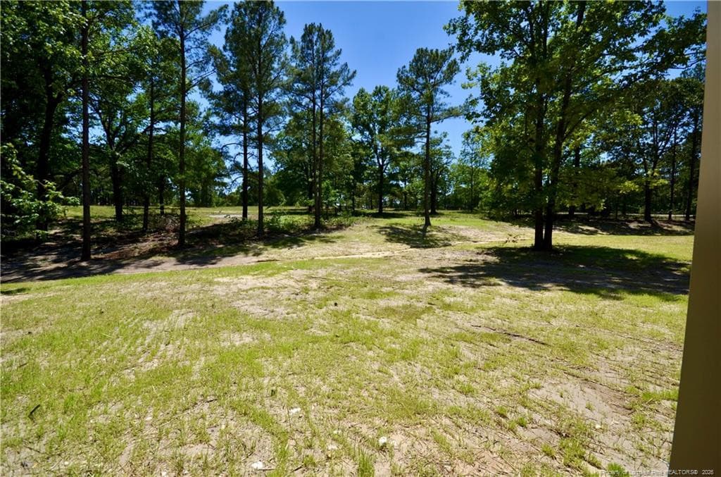 Beautiful Backyard - 324 D L Phillips (Lot 2) Lane, Broadway, NC 27505