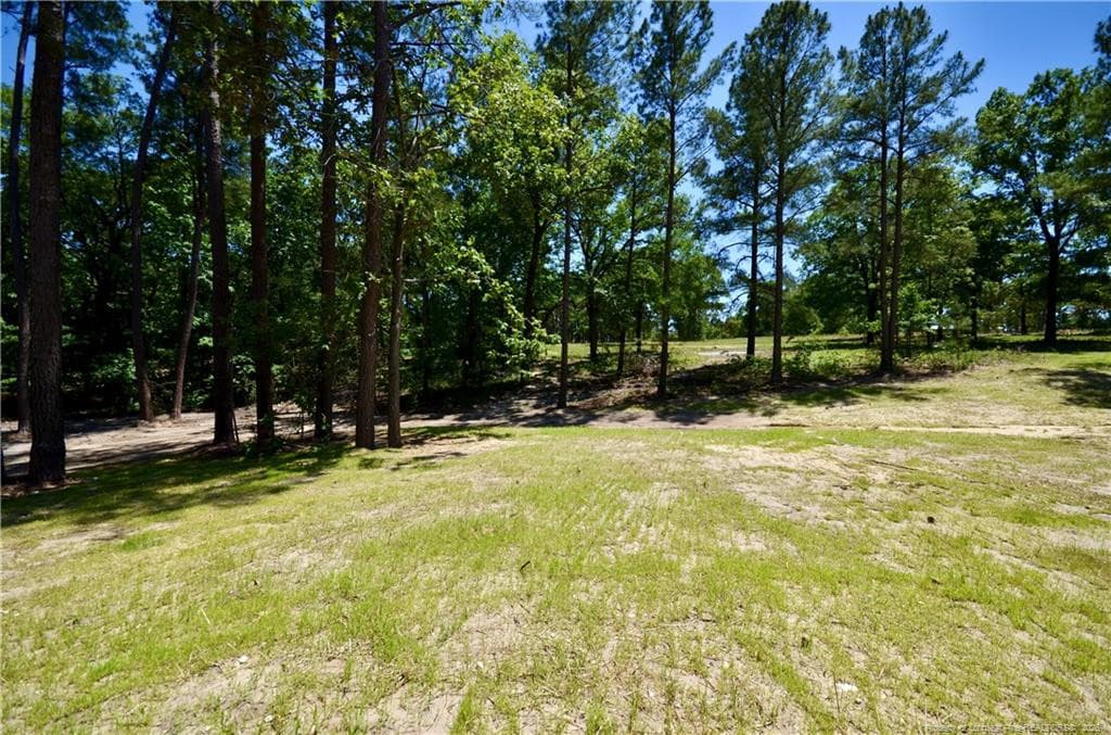 Beautiful Backyard - 324 D L Phillips (Lot 2) Lane, Broadway, NC 27505