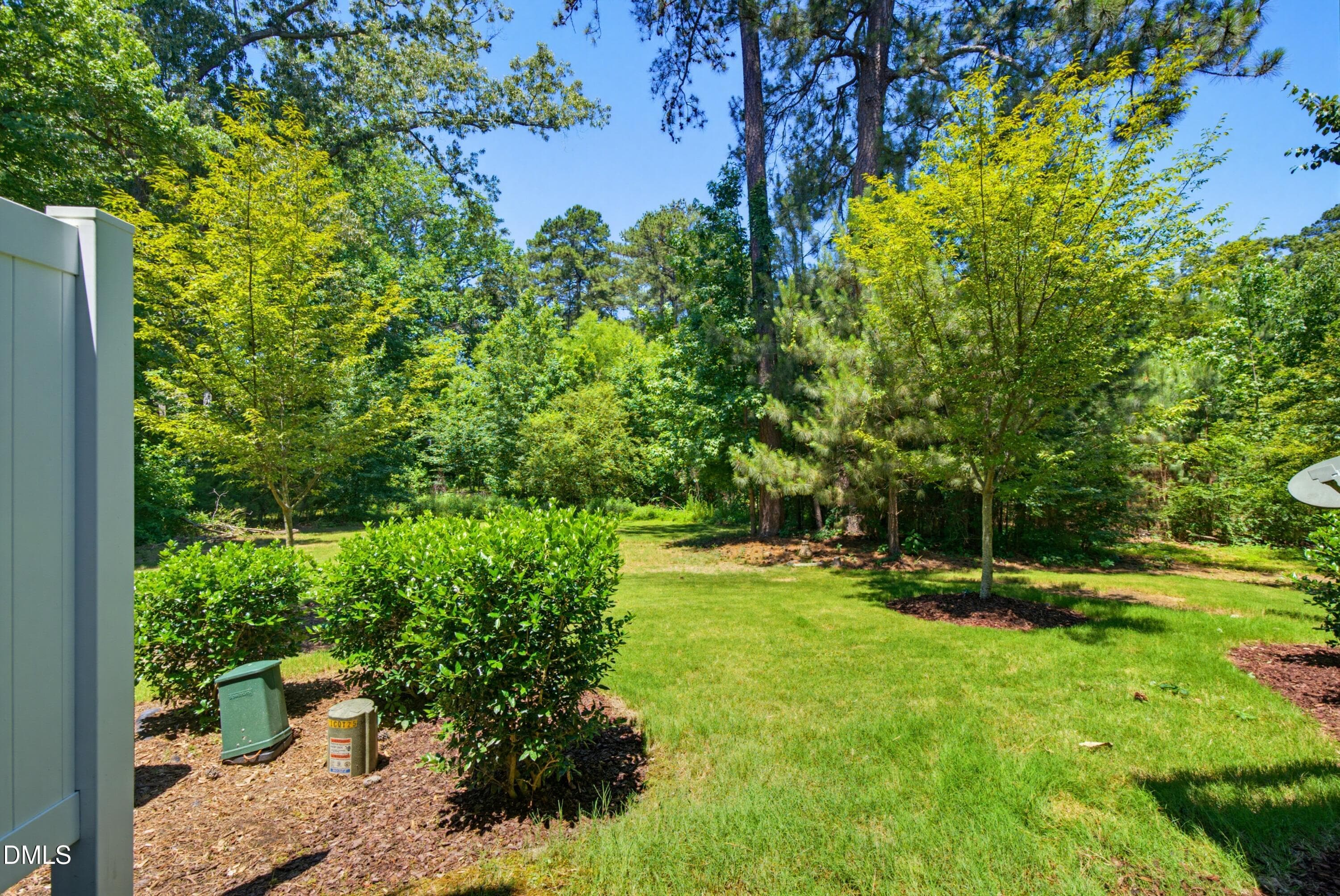 DSC08814 - 641 Newlyn Drive, Raleigh, NC 27606, Raleigh