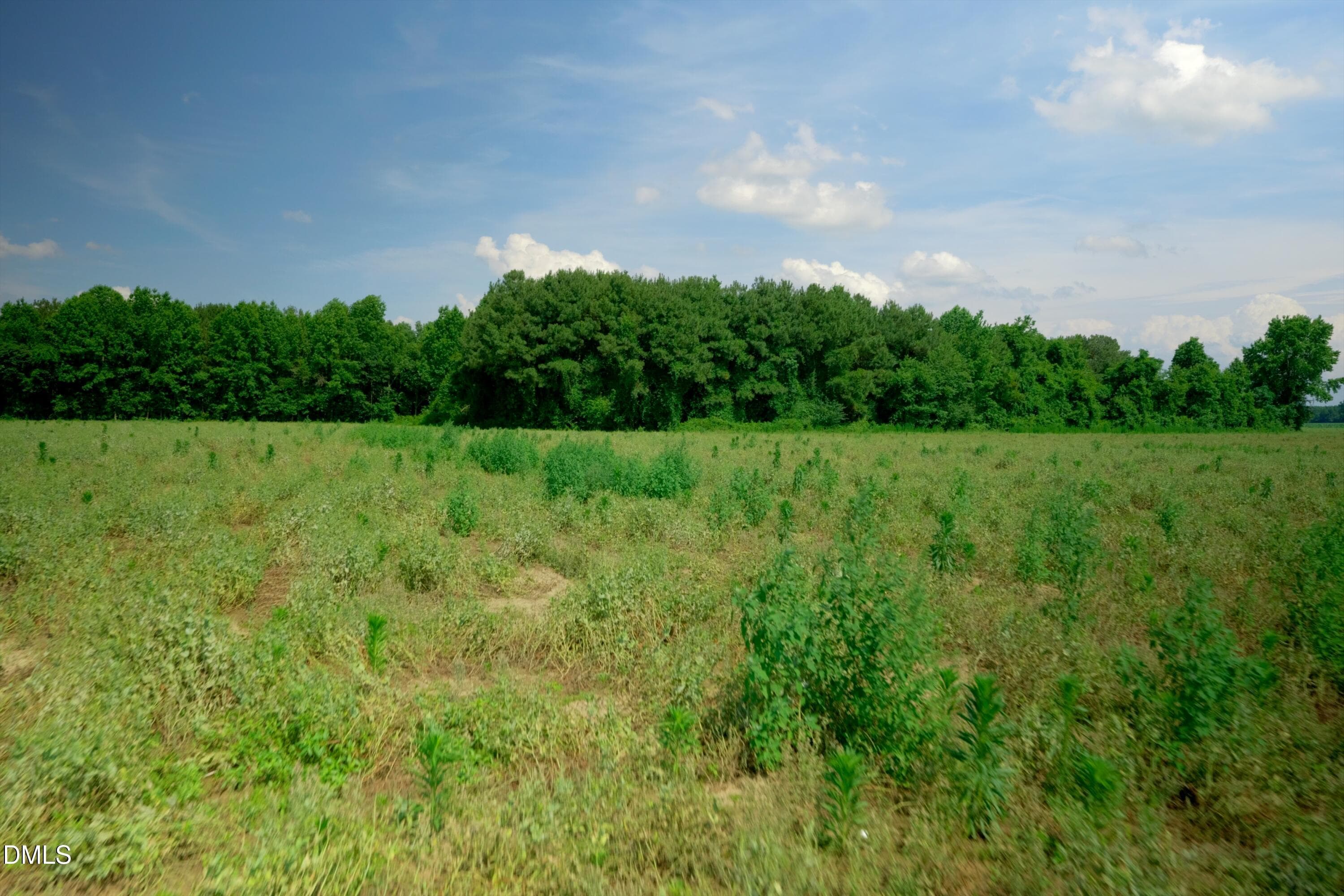 Sampson County Property Still Photo19 - 2 Bowden Road, Turkey, NC 28393
