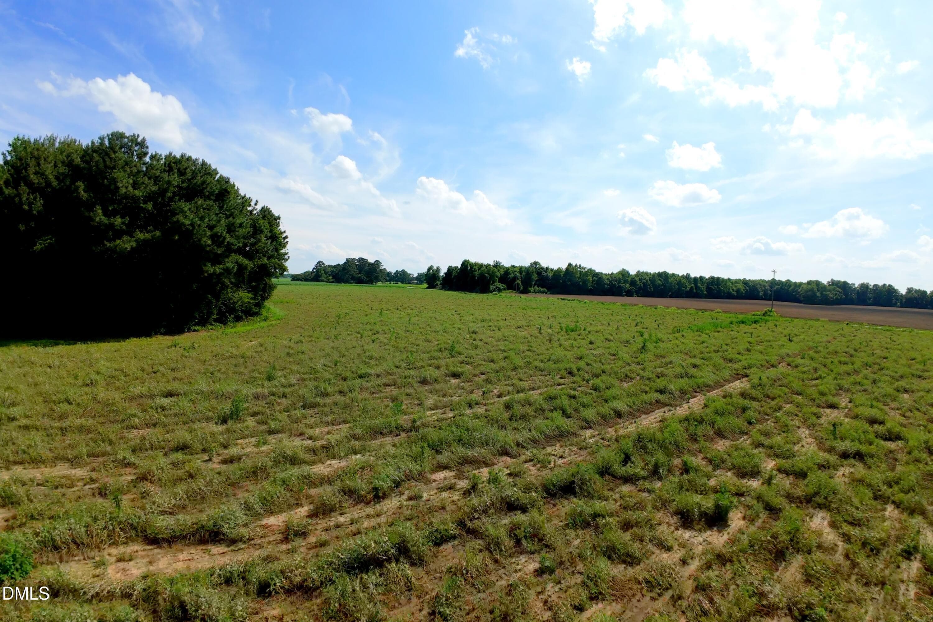 Sampson County Property Still Photo21 - 2 Bowden Road, Turkey, NC 28393