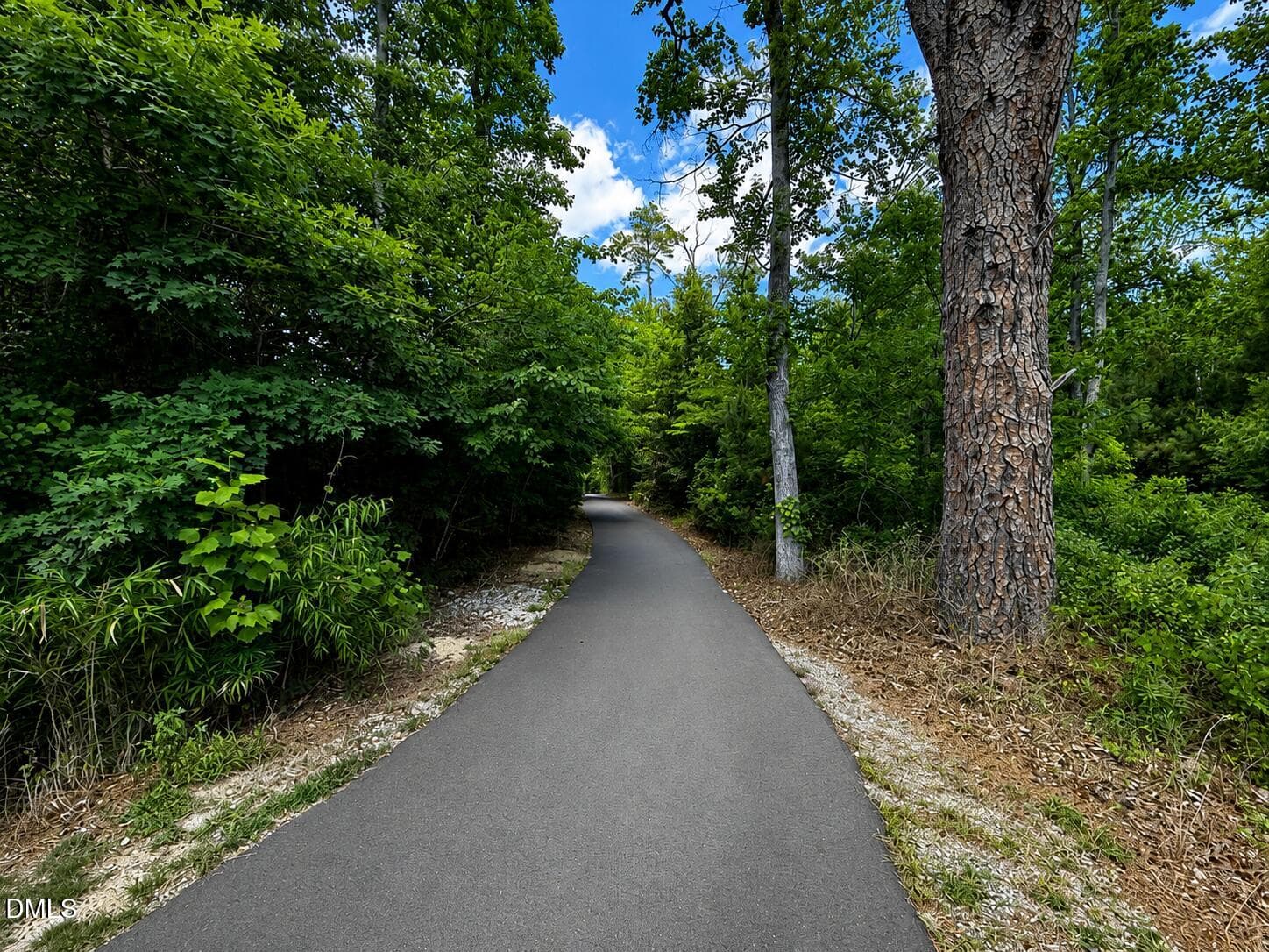 Austin Creek greenway - 1808 Austin Ridge Parkway, Wake Forest, NC 27587