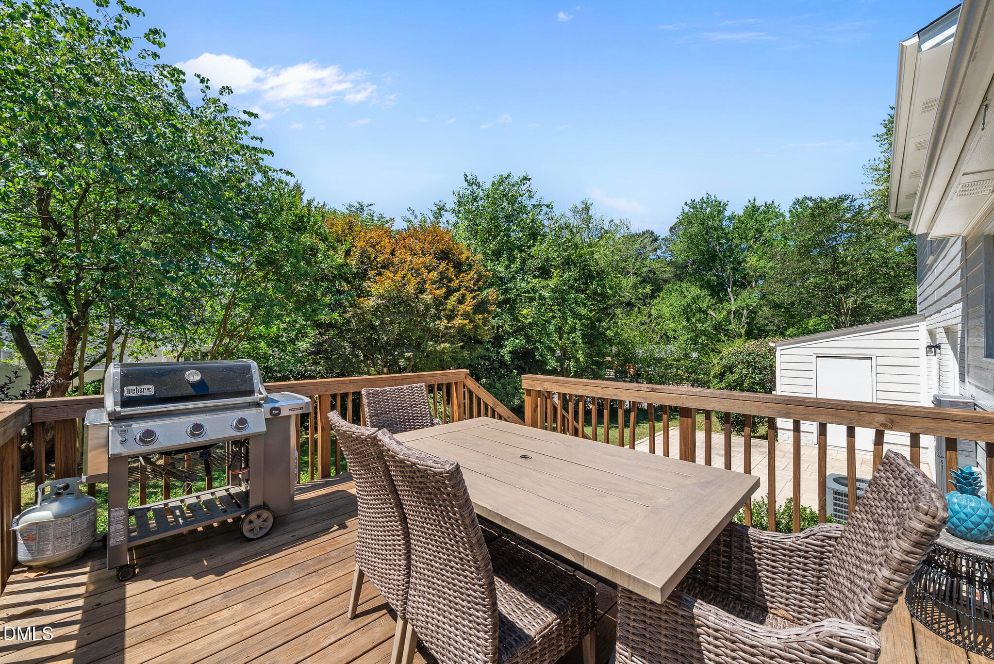 DSC08472 - 5314 Quail Meadow Drive, Raleigh, NC 27609, Raleigh