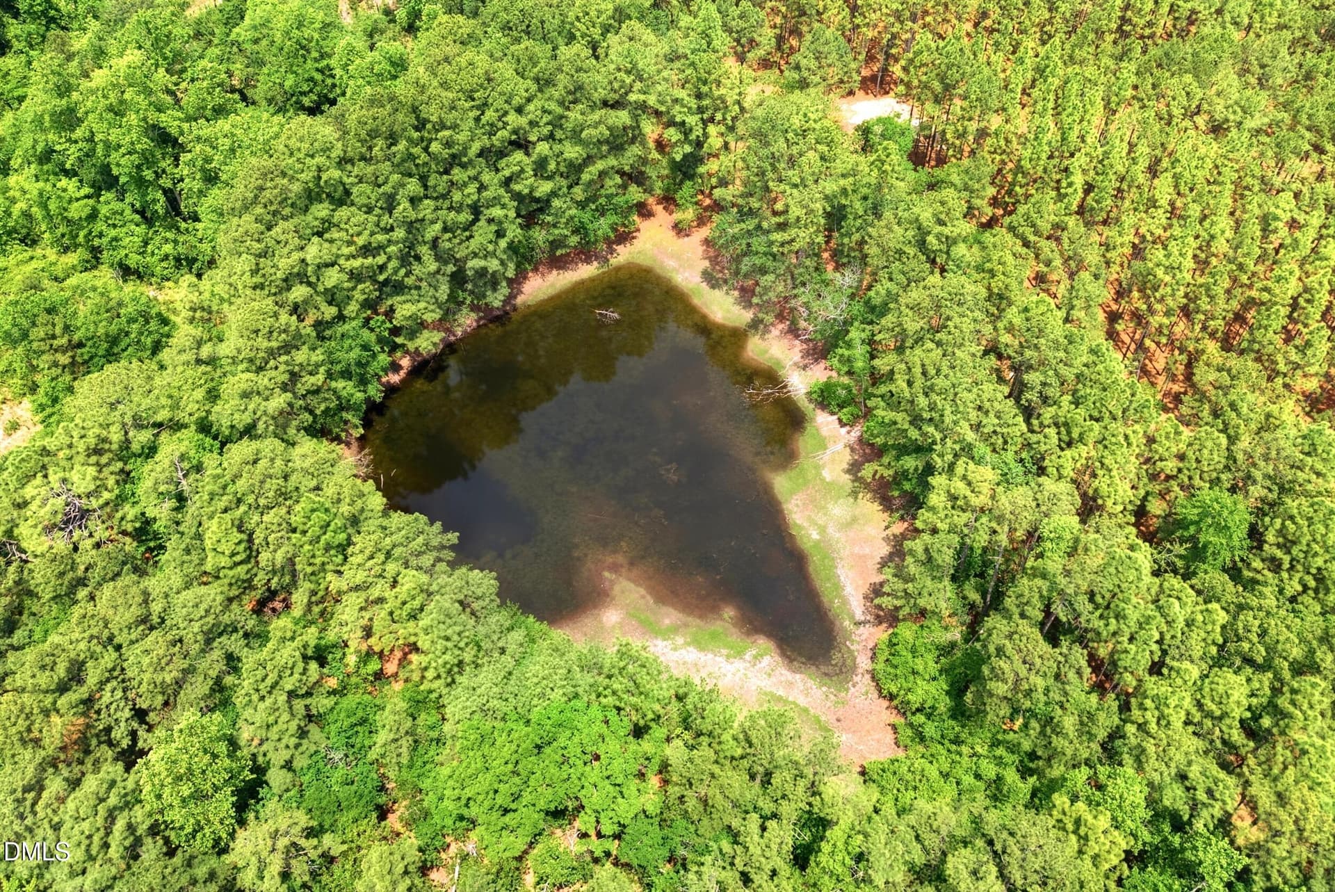 Pic 5 - 0 Flowers Road, Jackson Springs, NC 27281