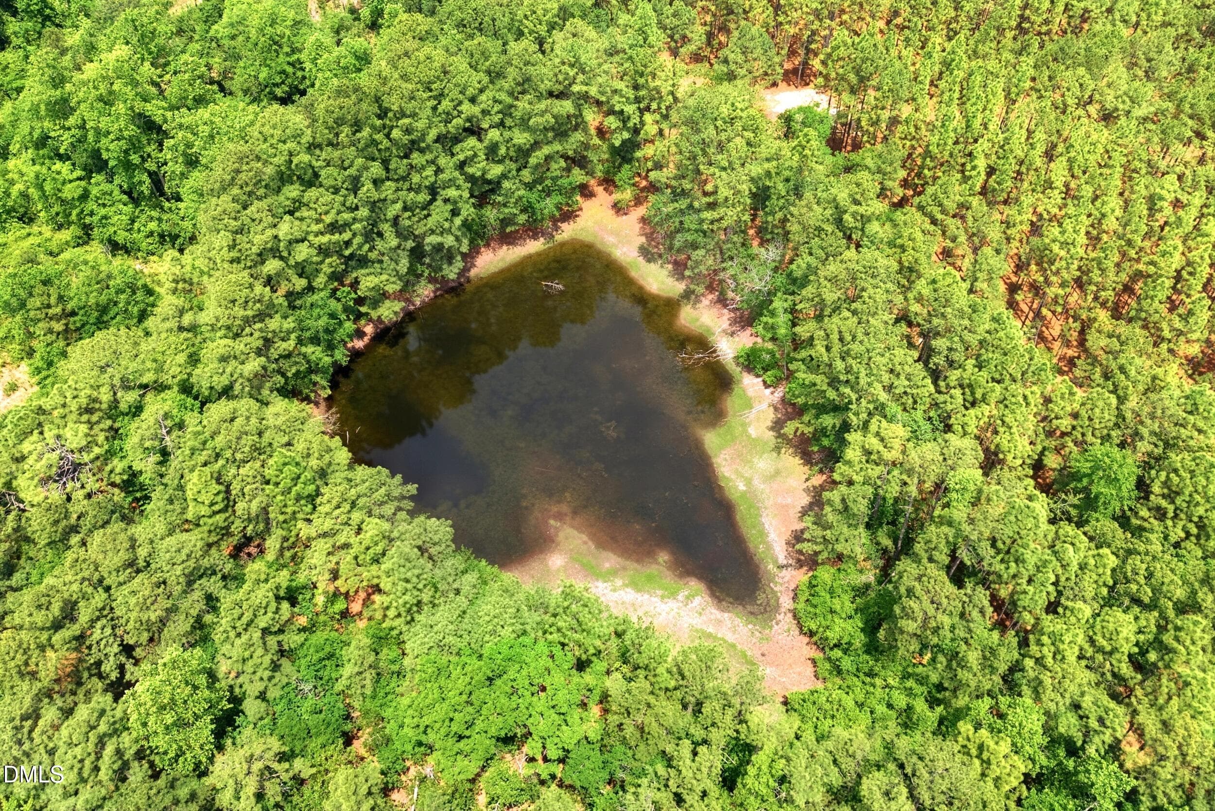 Pic 5 - 0 Flowers Road, Jackson Springs, NC 27281