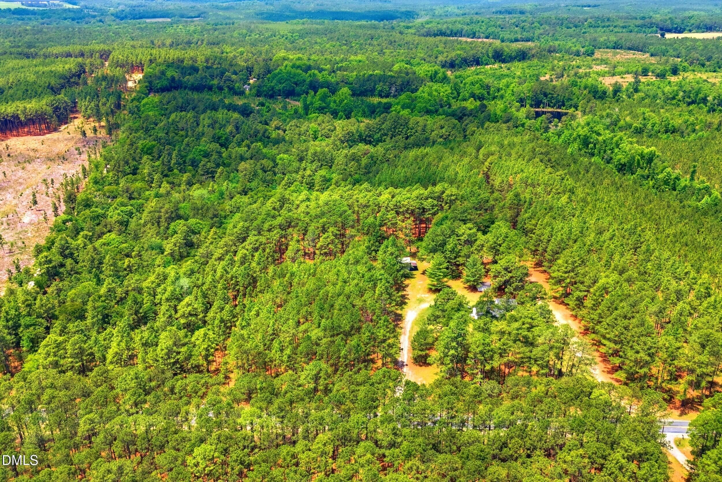 Pic 9 - 0 Flowers Road, Jackson Springs, NC 27281