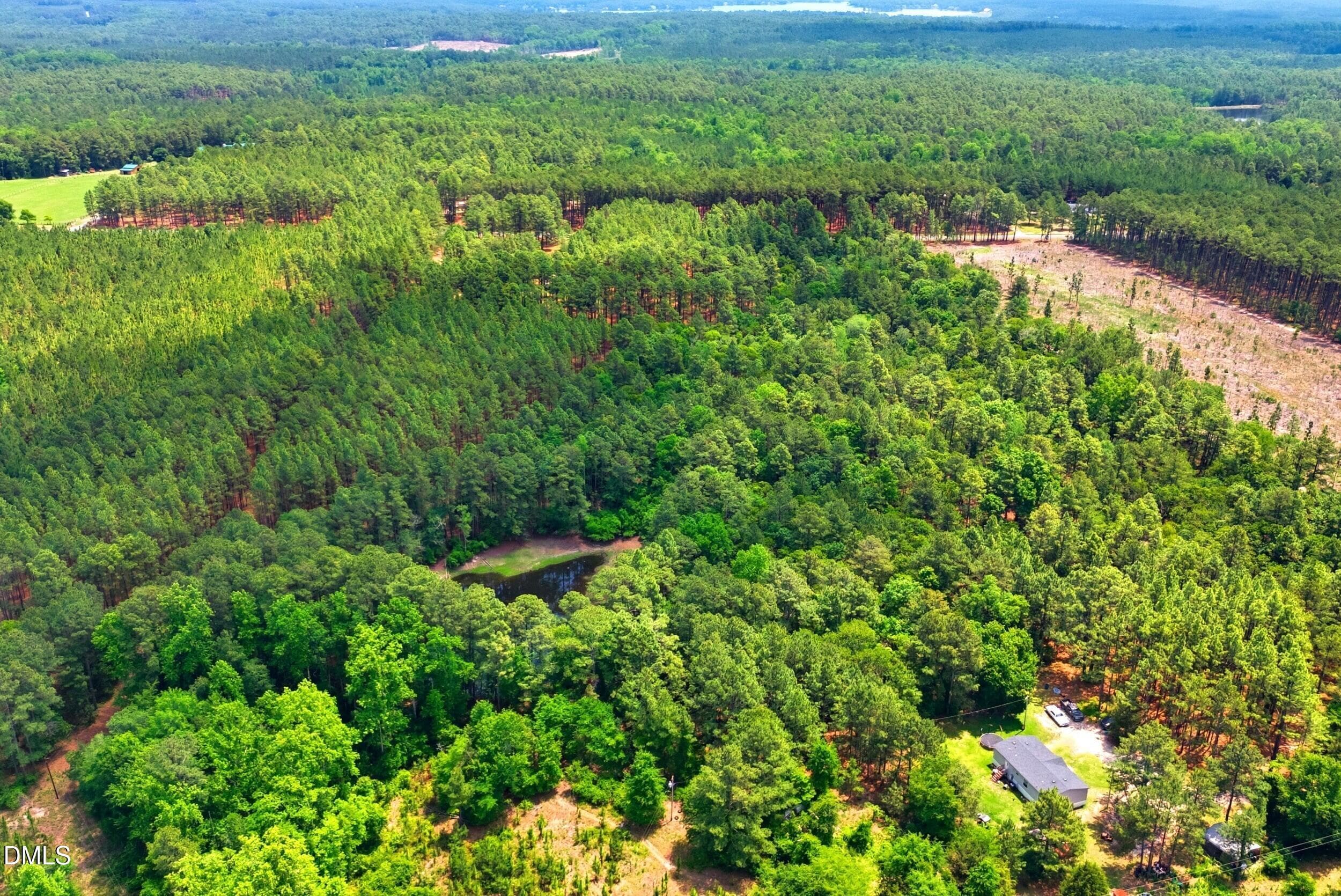 Pic 10 - 0 Flowers Road, Jackson Springs, NC 27281