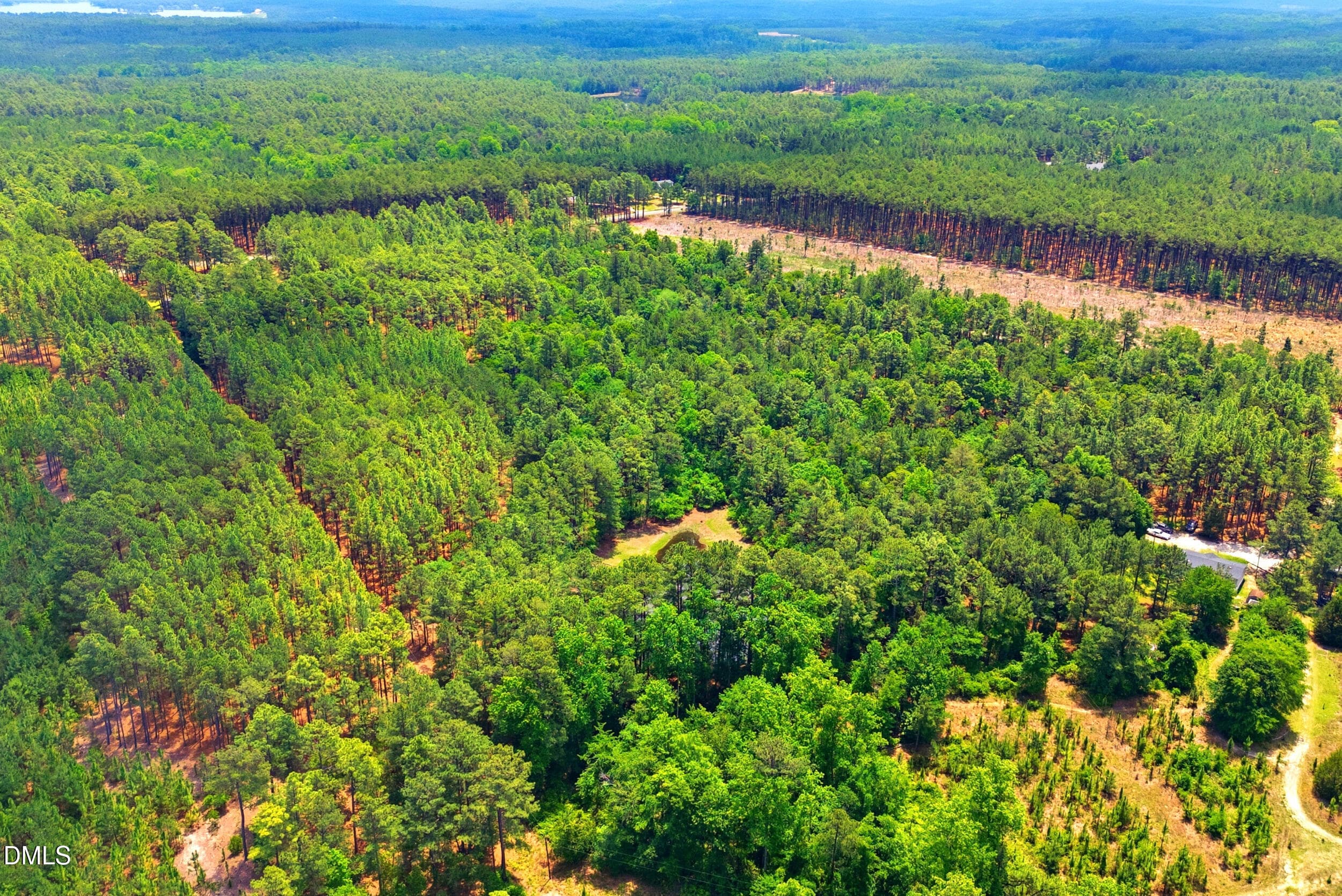 Pic 11 - 0 Flowers Road, Jackson Springs, NC 27281
