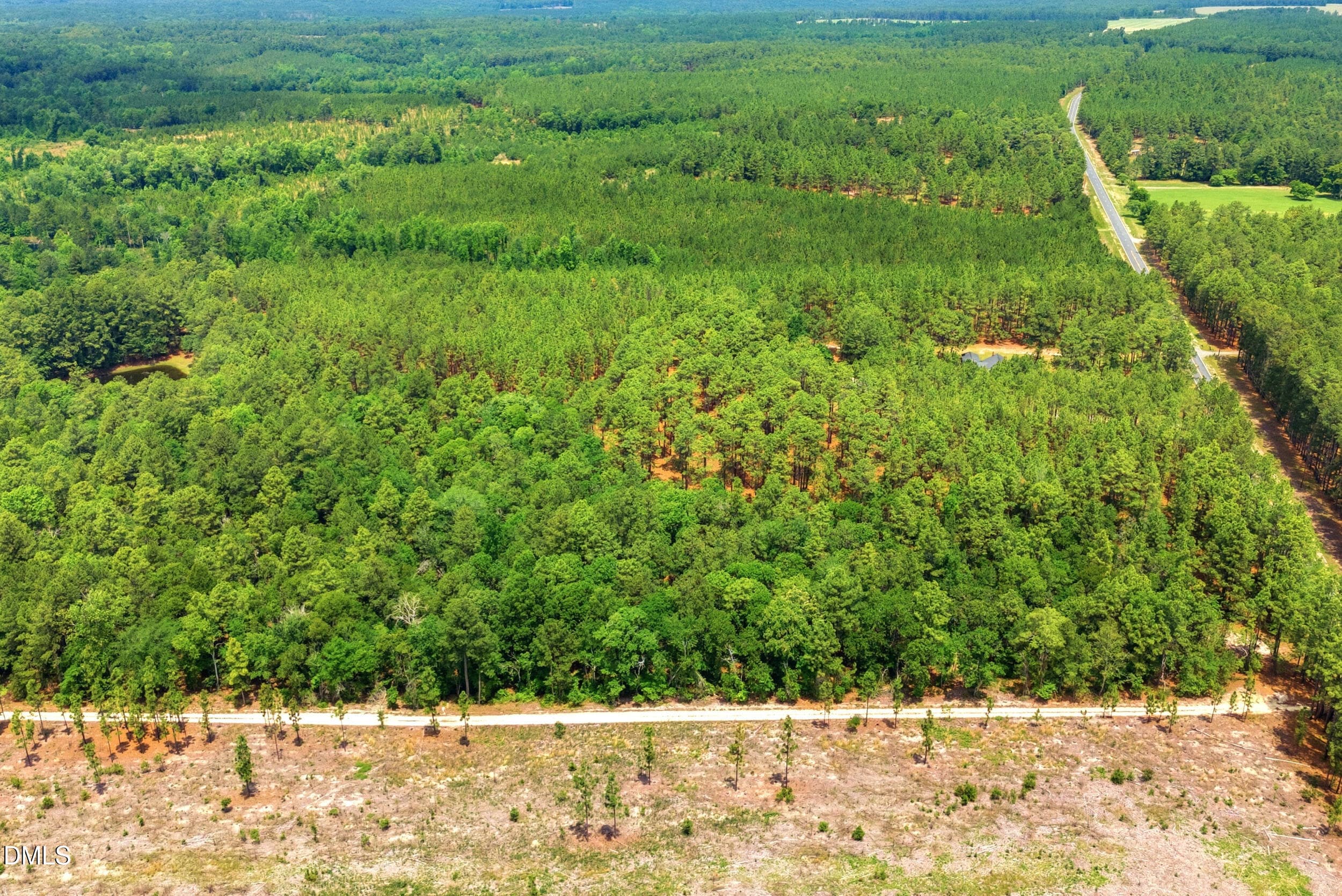 Pic 16 - 0 Flowers Road, Jackson Springs, NC 27281