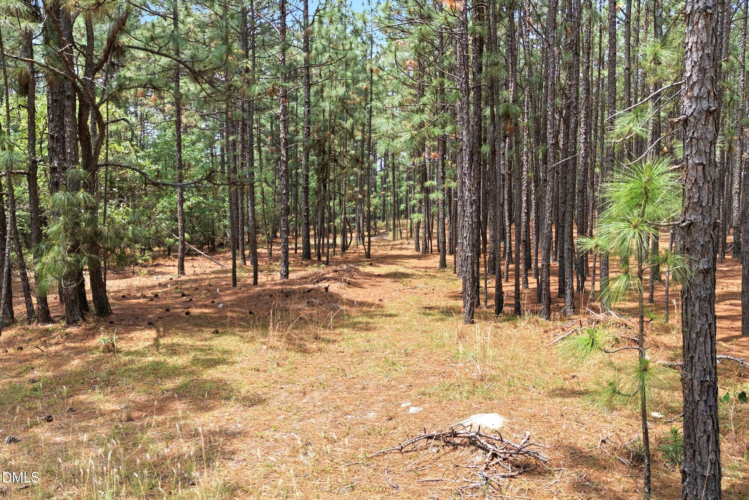 Pic 18 - 0 Flowers Road, Jackson Springs, NC 27281