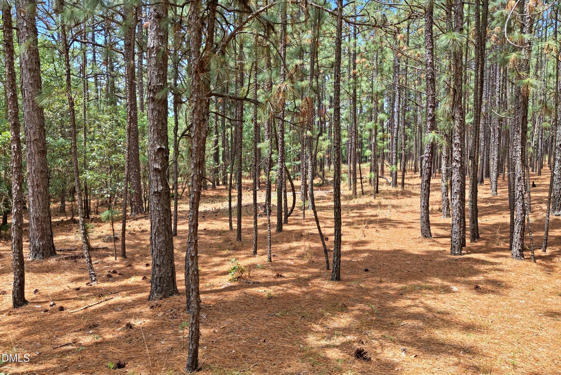 Pic 19 - 0 Flowers Road, Jackson Springs, NC 27281