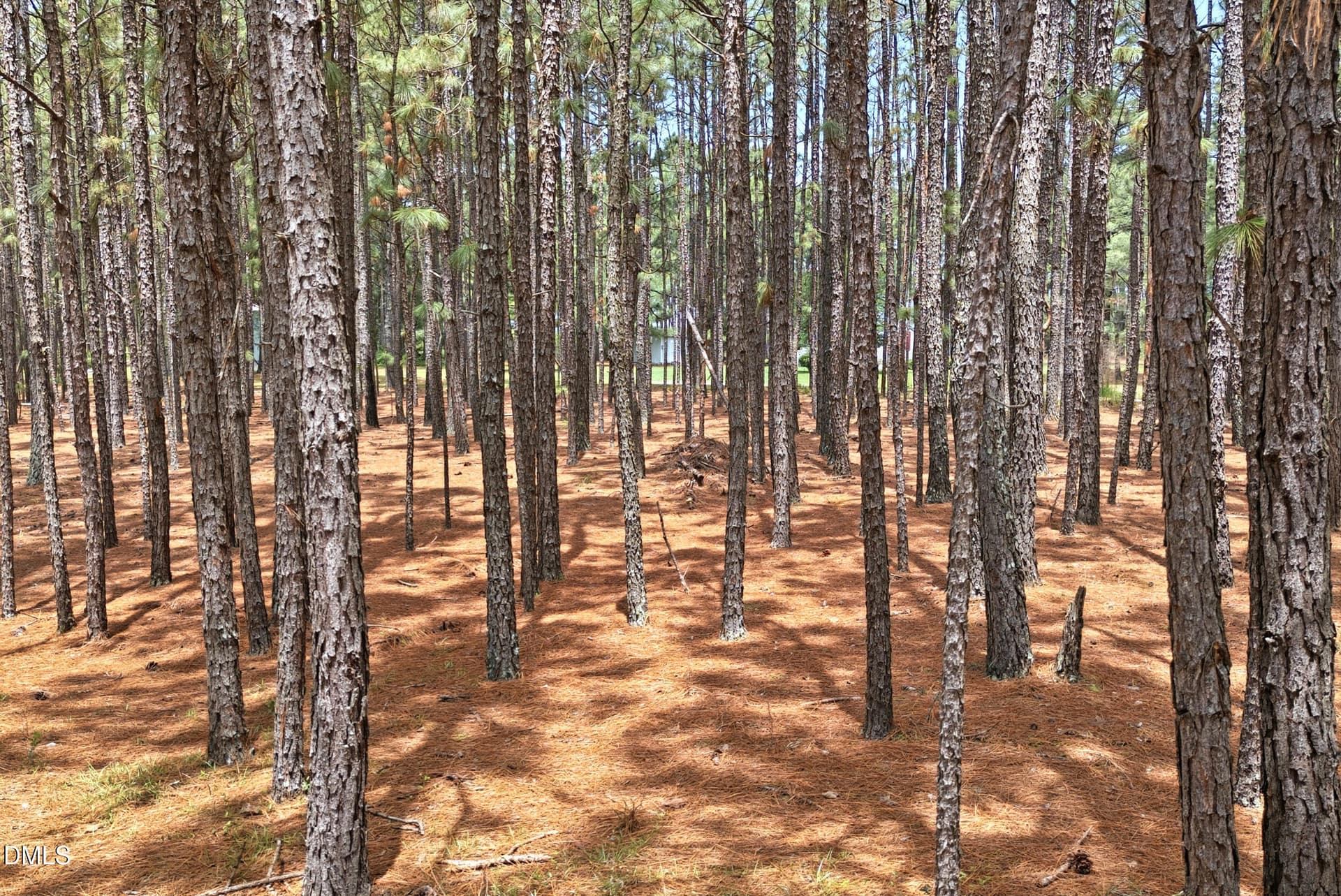 Pic 20 - 0 Flowers Road, Jackson Springs, NC 27281