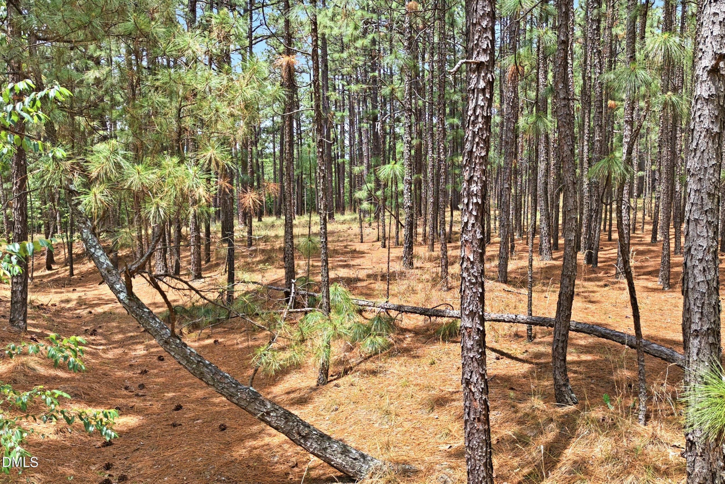 Pic 21 - 0 Flowers Road, Jackson Springs, NC 27281