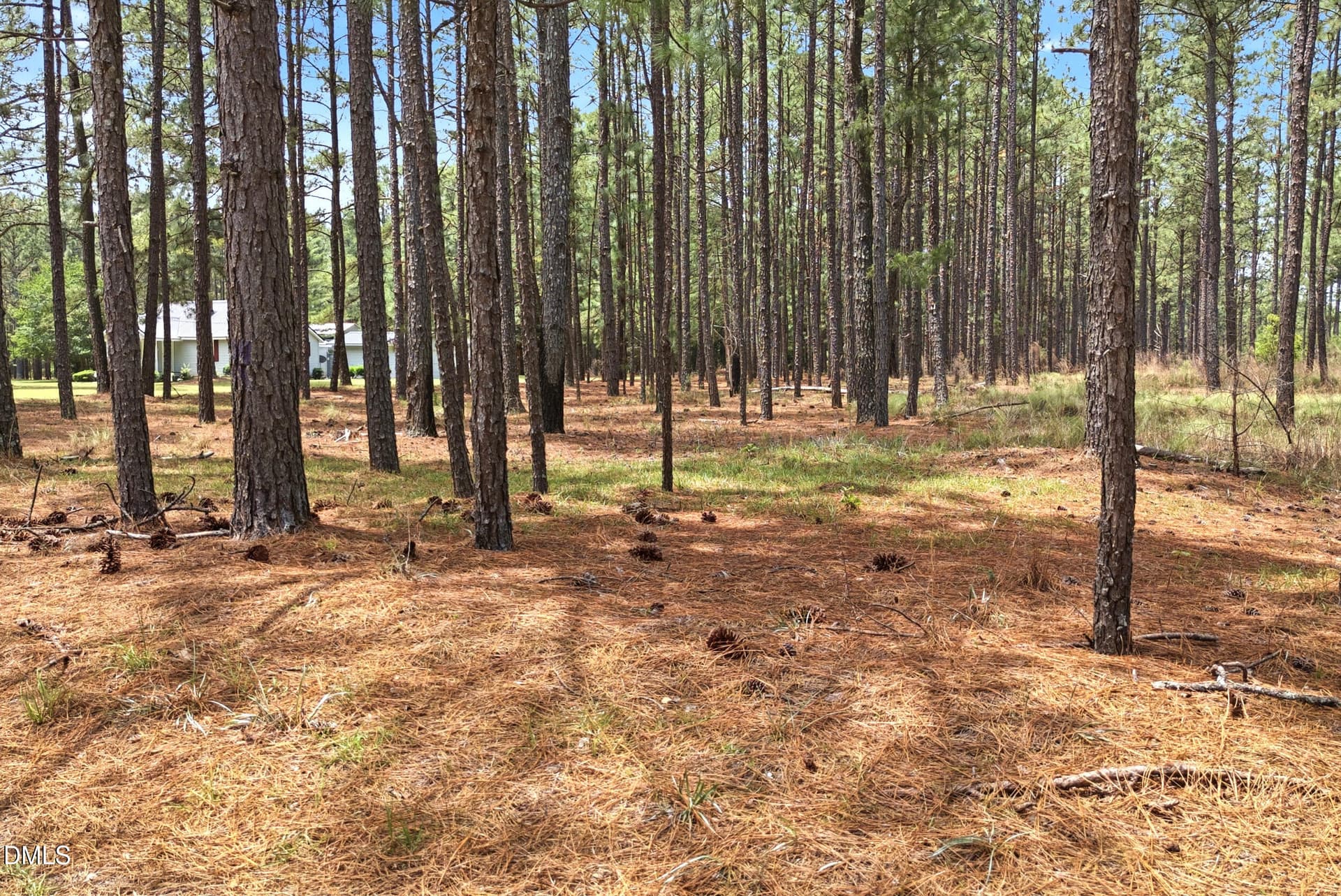 Pic 22 - 0 Flowers Road, Jackson Springs, NC 27281