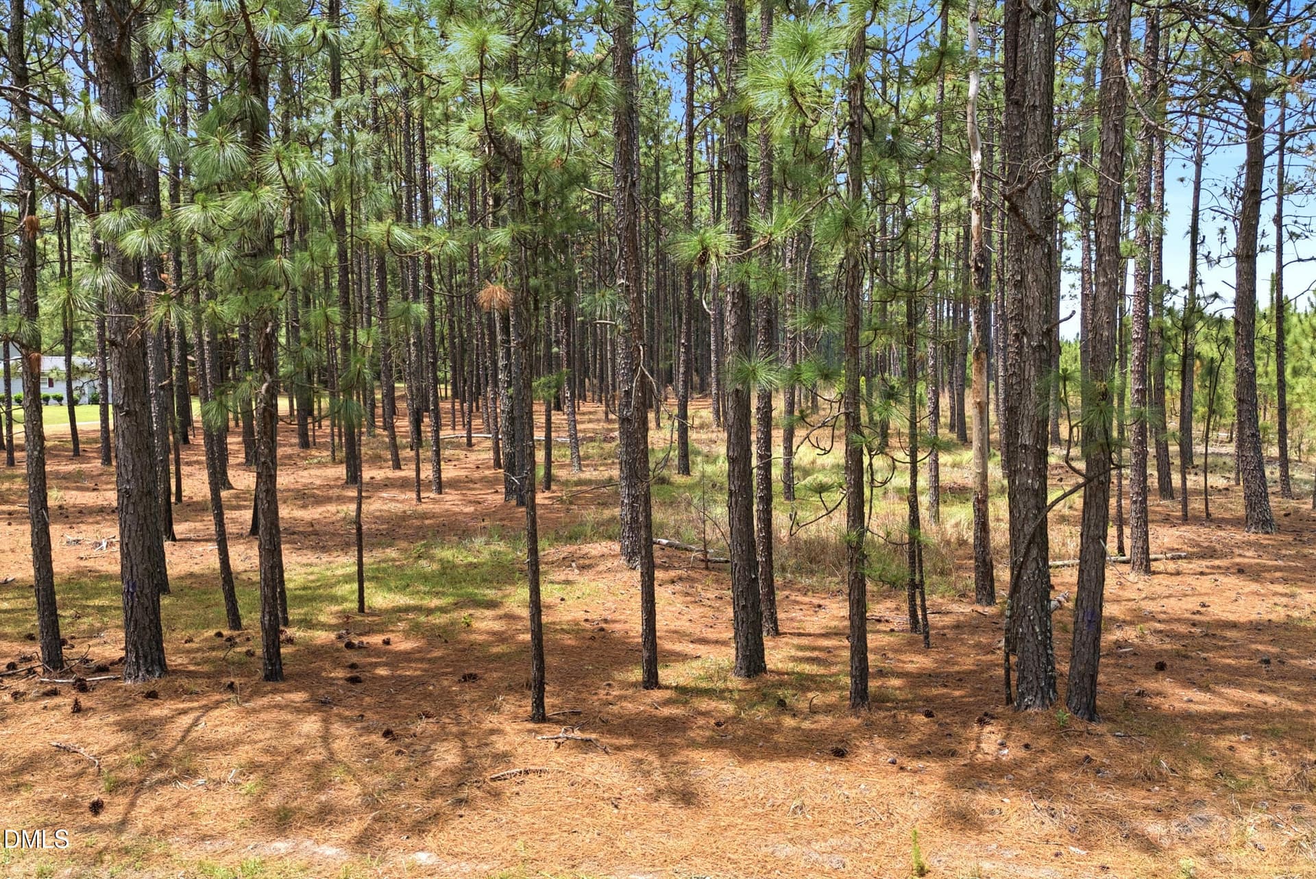 Pic 23 - 0 Flowers Road, Jackson Springs, NC 27281