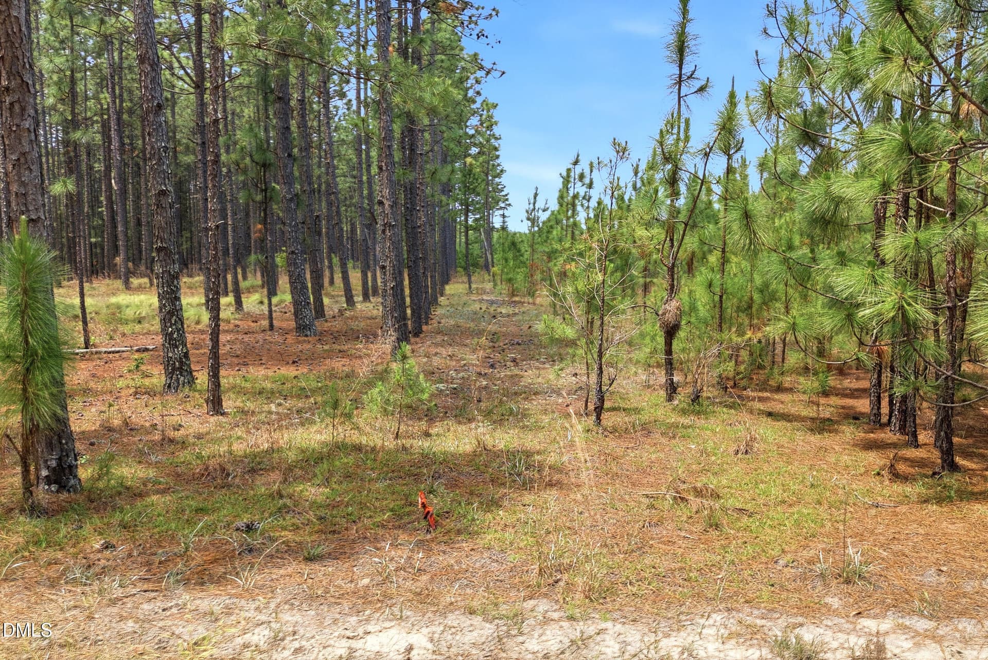 Pic 24 - 0 Flowers Road, Jackson Springs, NC 27281